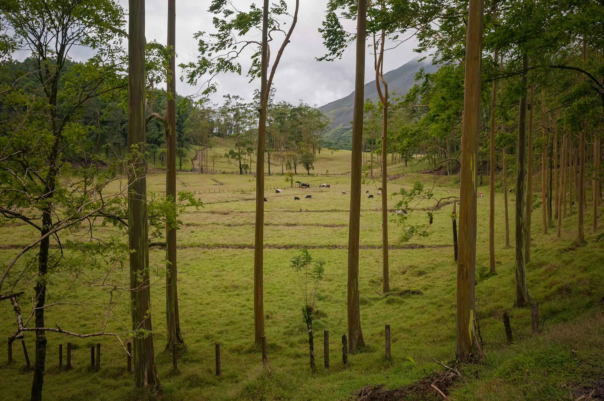 Arenal Observatory Lodge, Parque National Volcan Arenal
