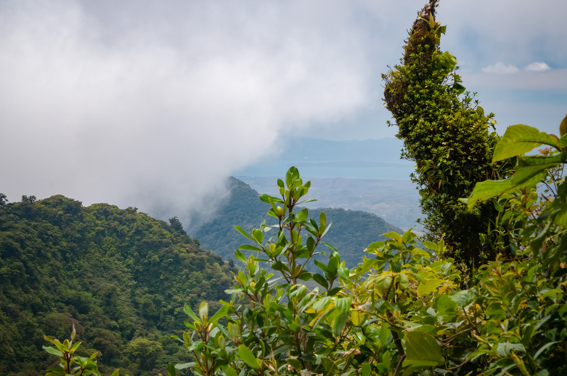 Reserva Biologica Bosque Nuboso Monteverde