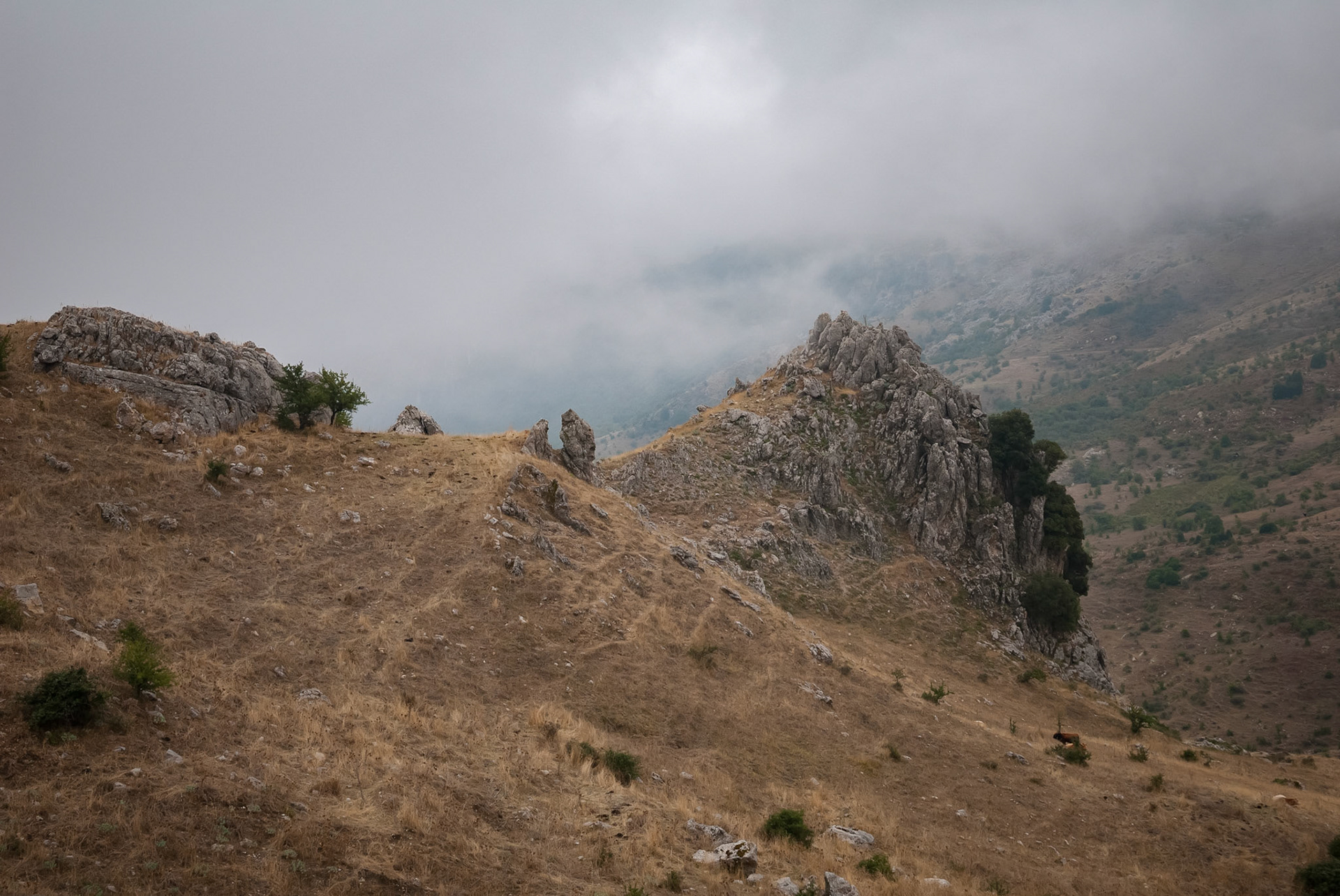 Parc Naturel Régional des Madonie