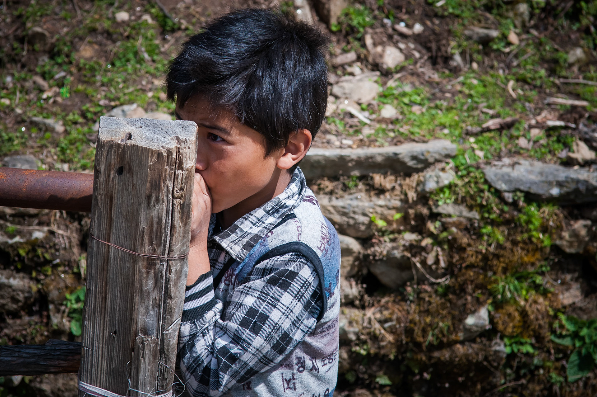 Entre Dhunche (1960m) et Thulo Syabru (2210m)