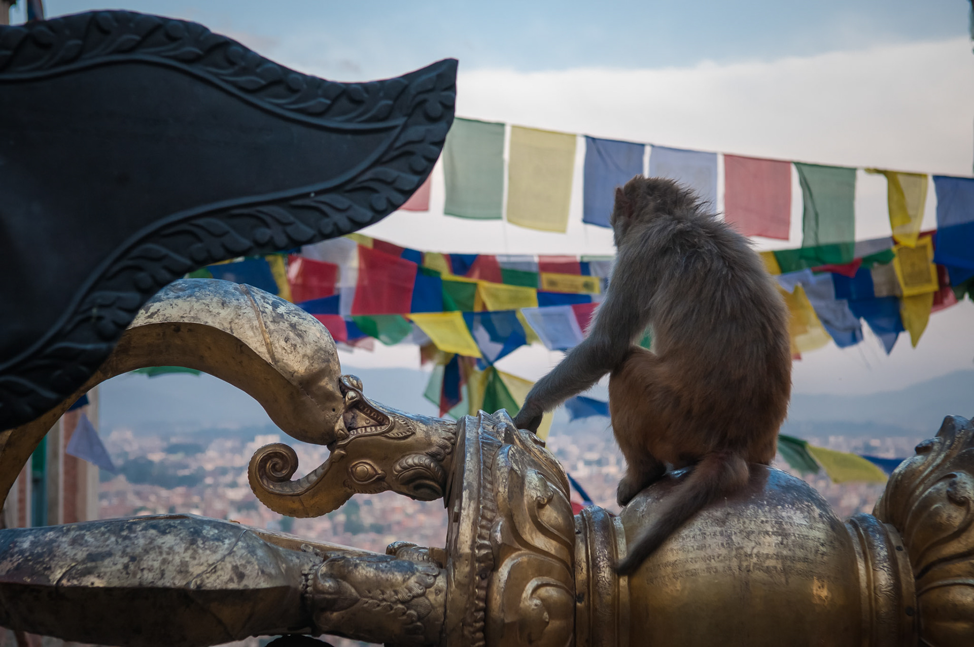 Temple de Swayambhunath (Monkey Temple), Kathmandou