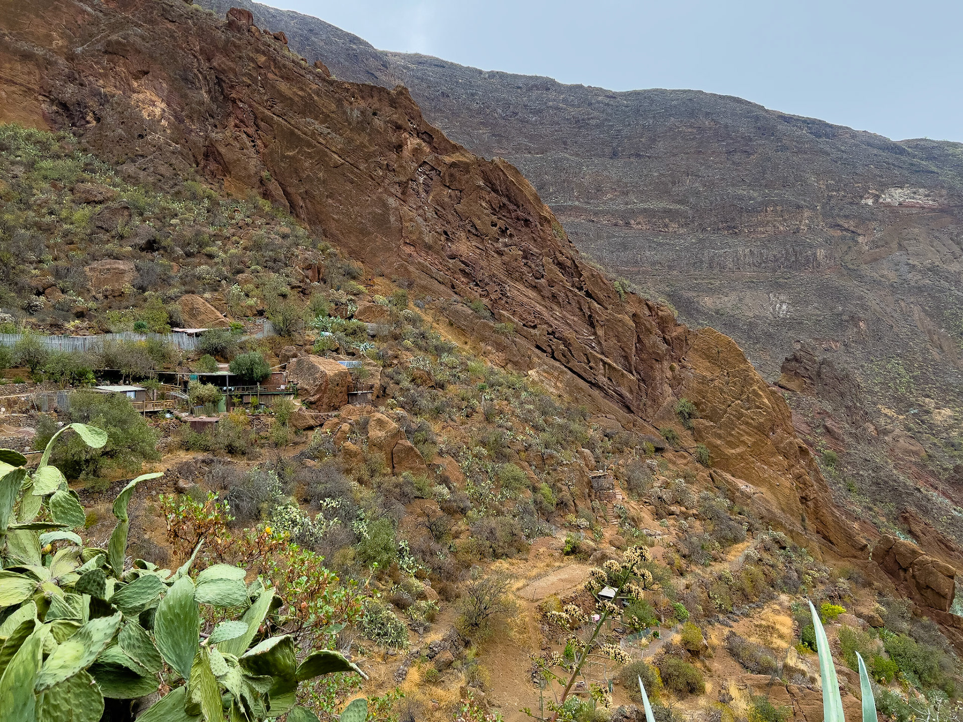Guayadeque ravine, Gran Canaria