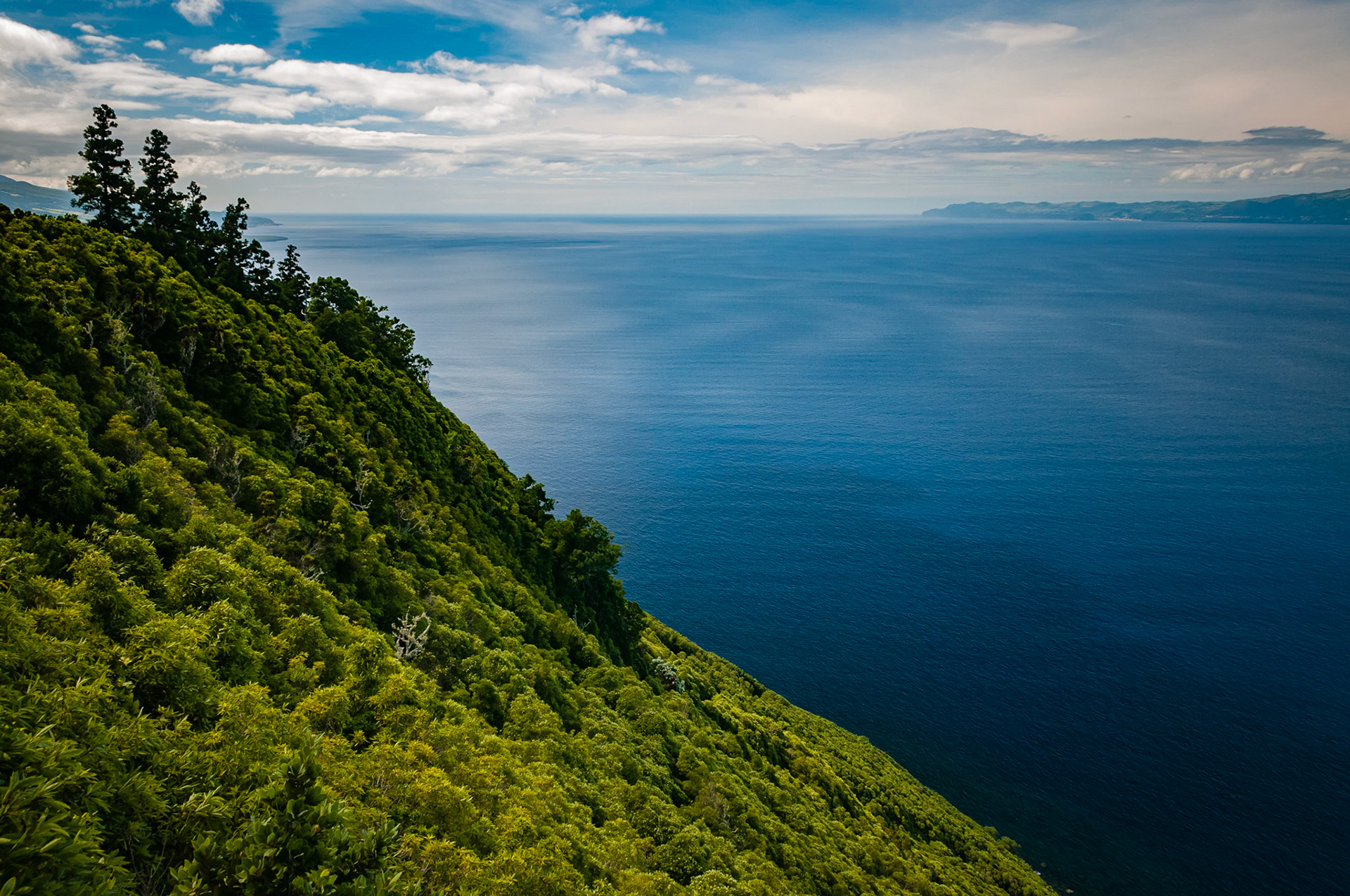 Miradouro da Terr' Alta, Pico
