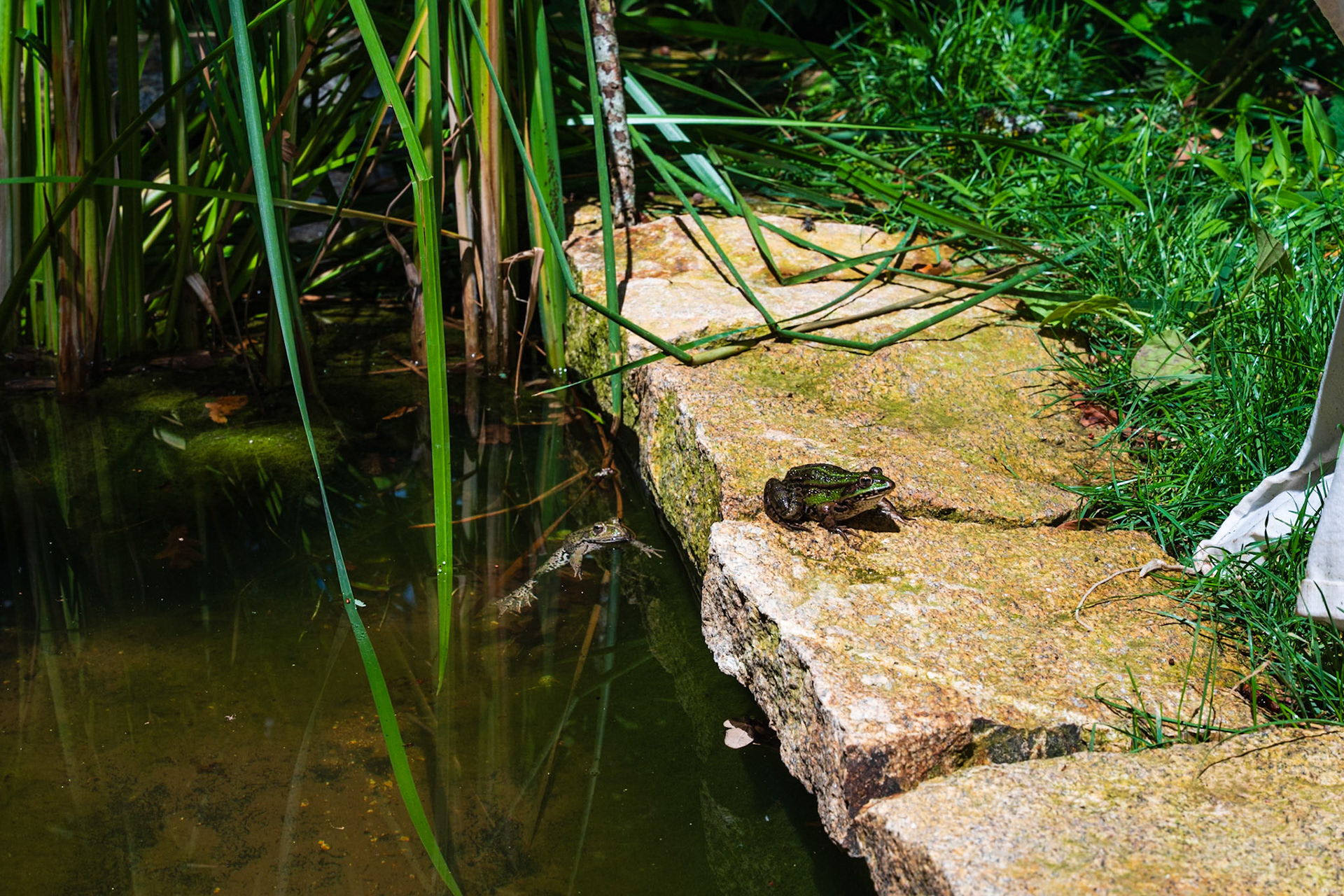 Domaine de Chaumont-sur-Loire