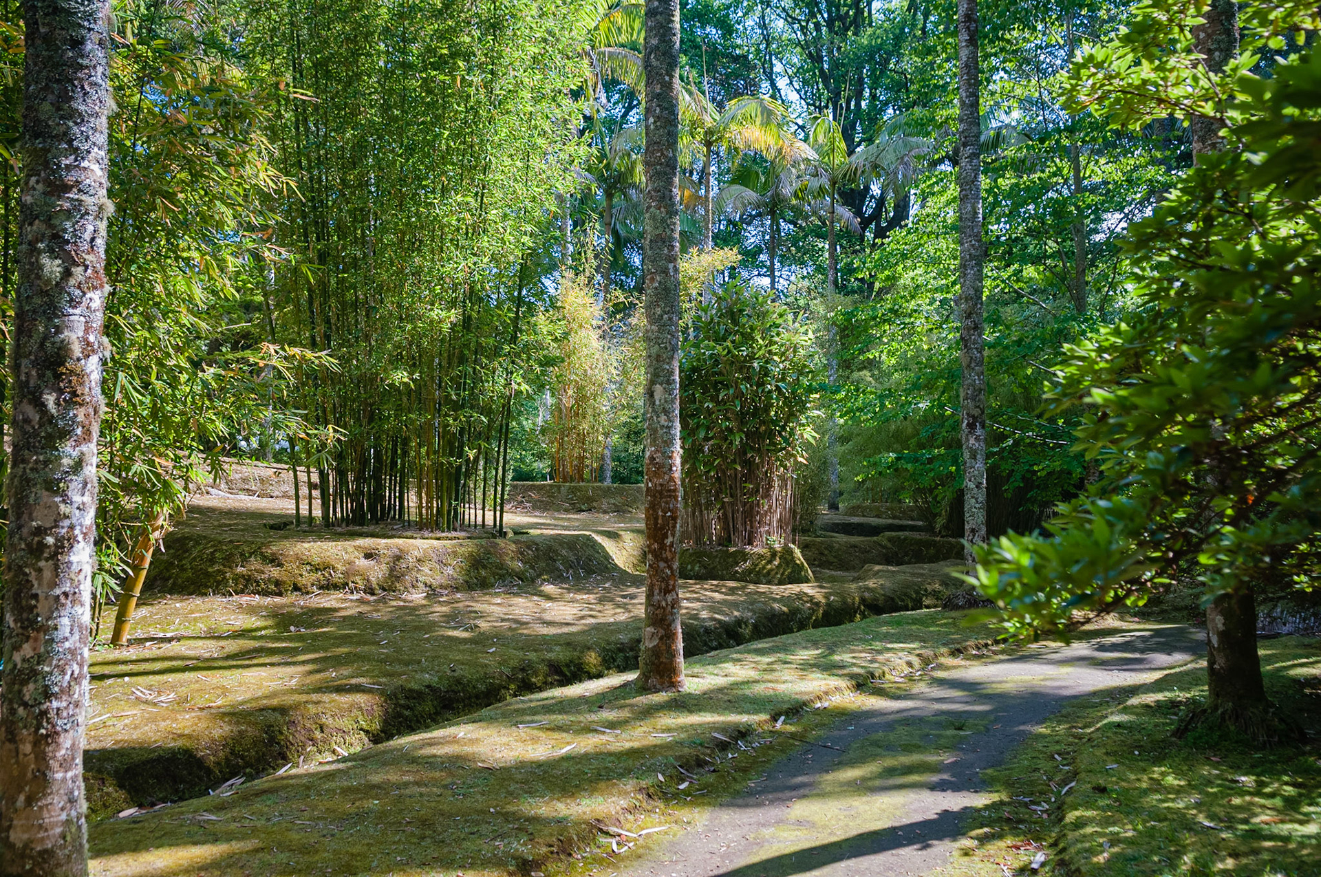 Parc Terra Nostra, Furnas, São Miguel