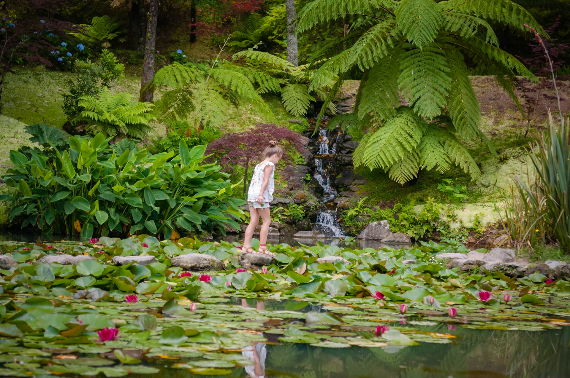 Parc Terra Nostra, Furnas, São Miguel