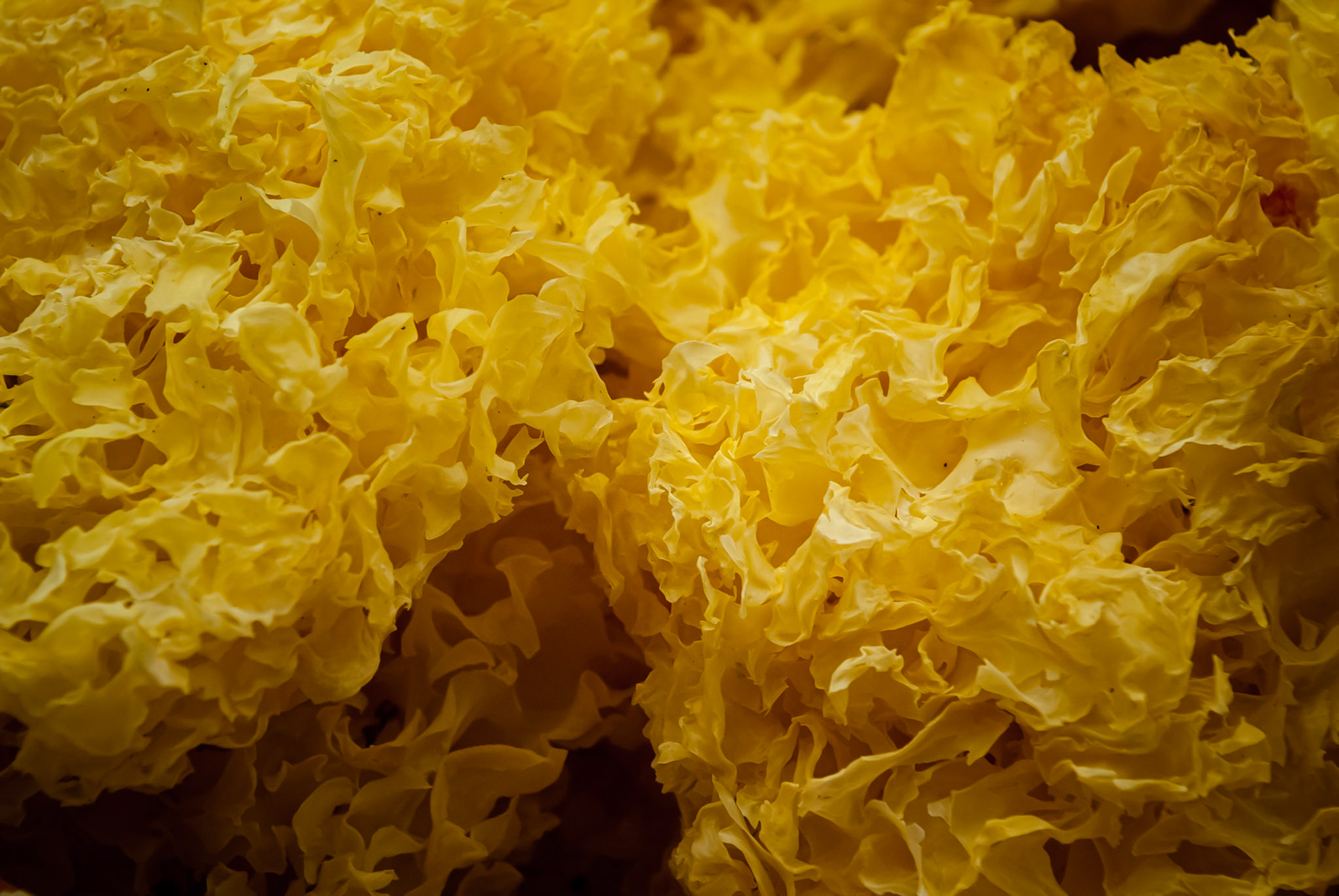 Mercat de la Boqueria, Barcelona