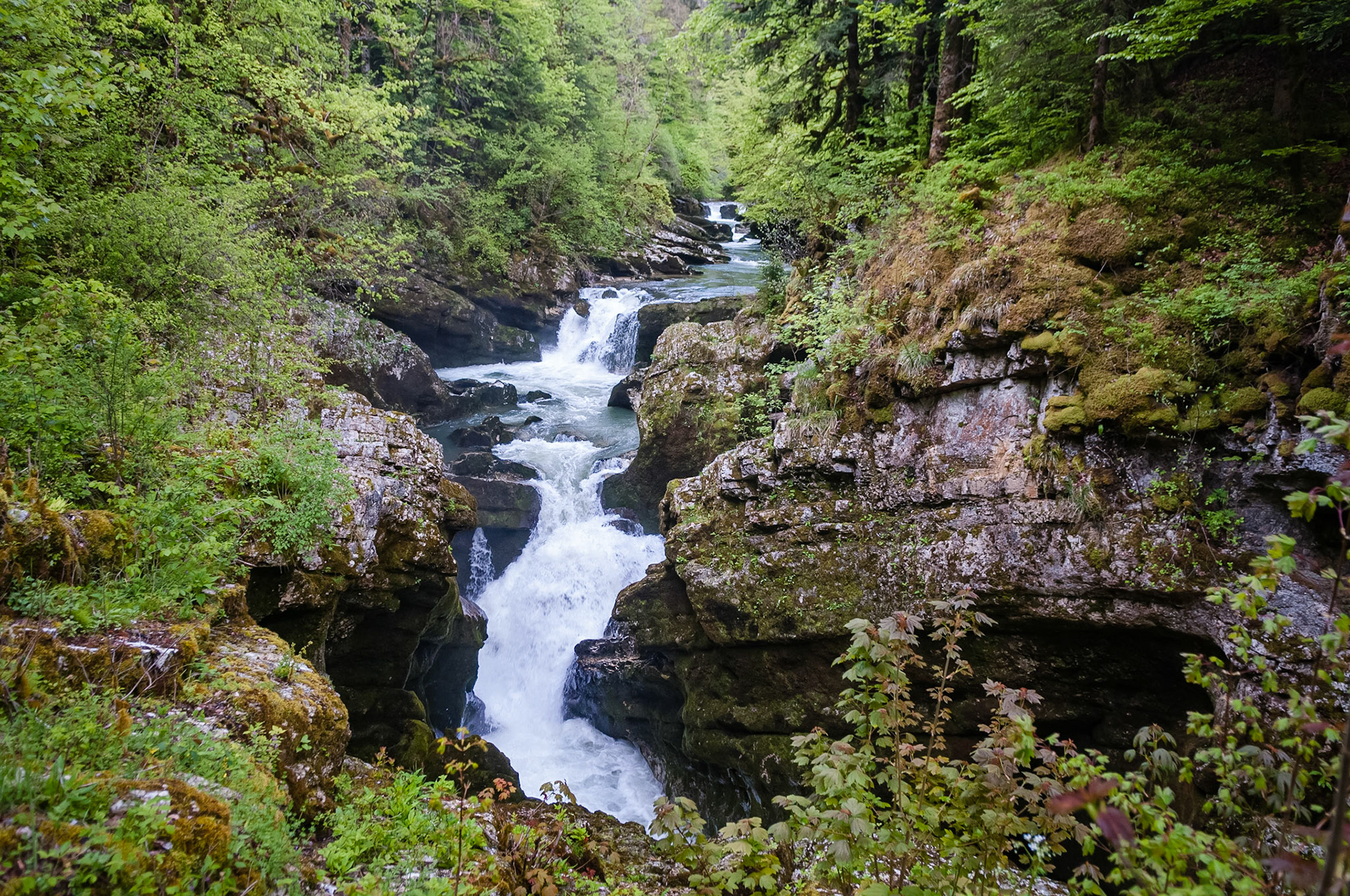 Les pertes de l'Ain, France