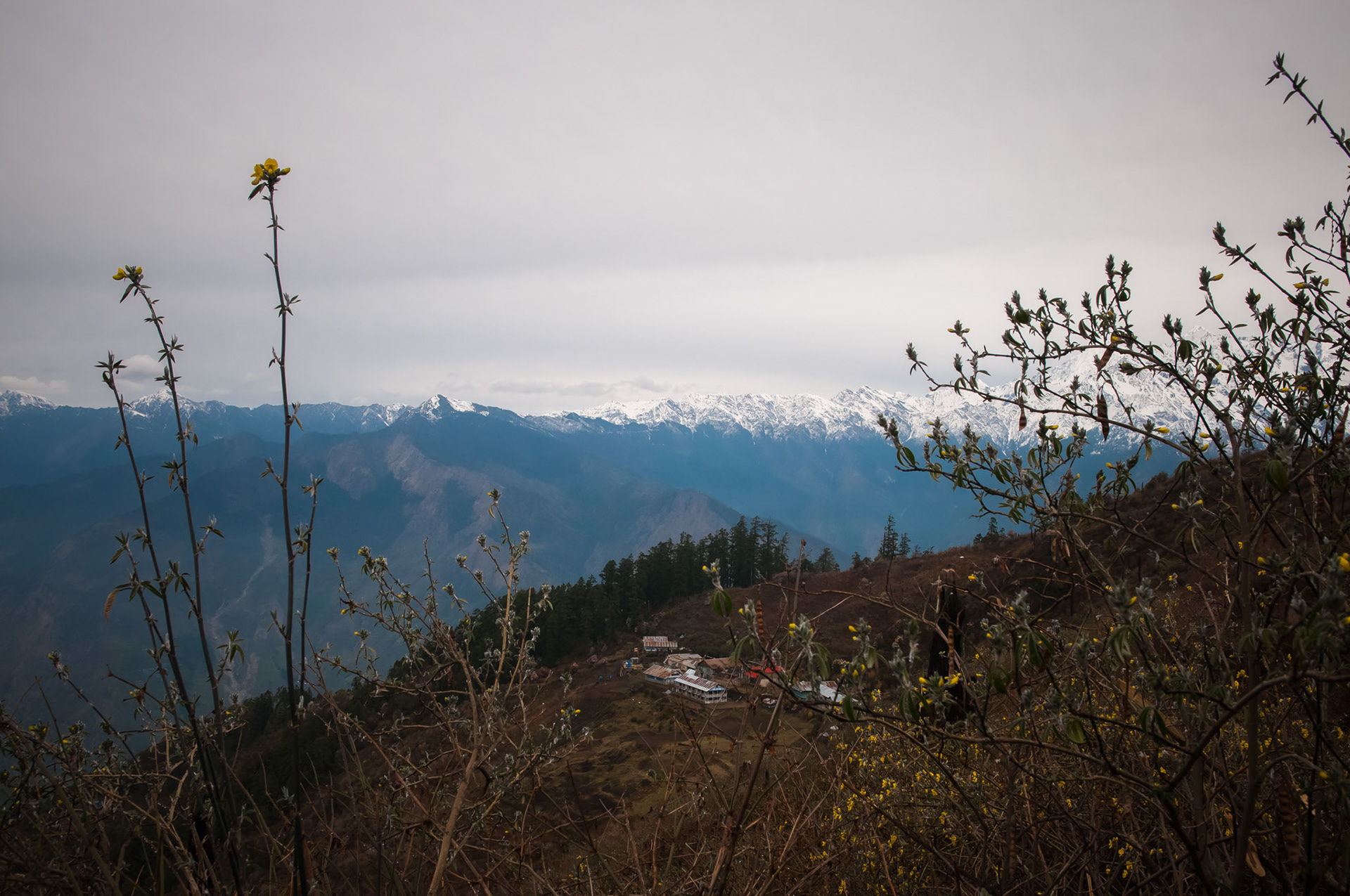 Entre Chandanbari (3330m) et Laurebina (3910m)