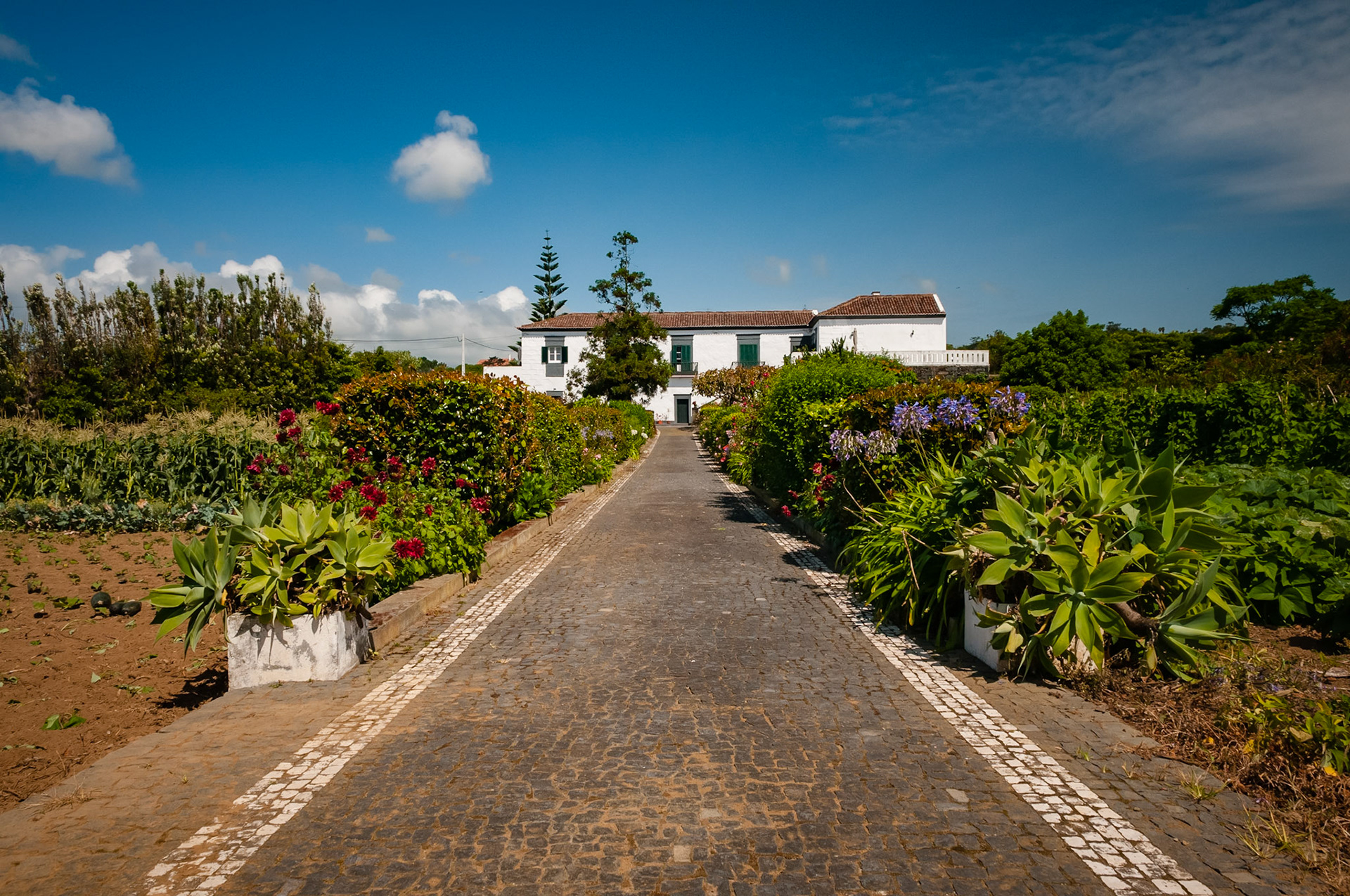 Livramento, São Miguel