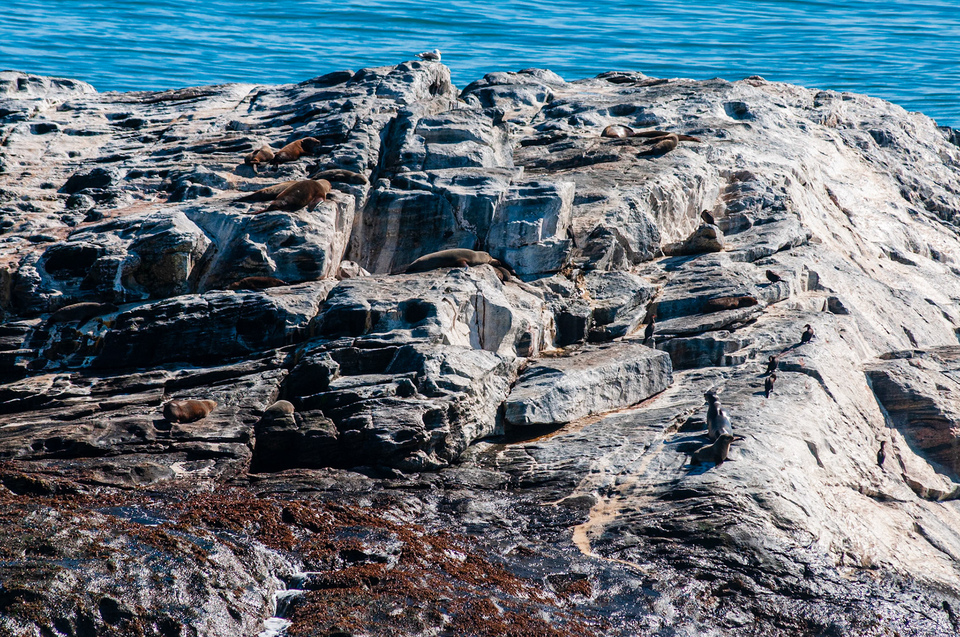 Tsau Khaeb National Park, Lüderitz