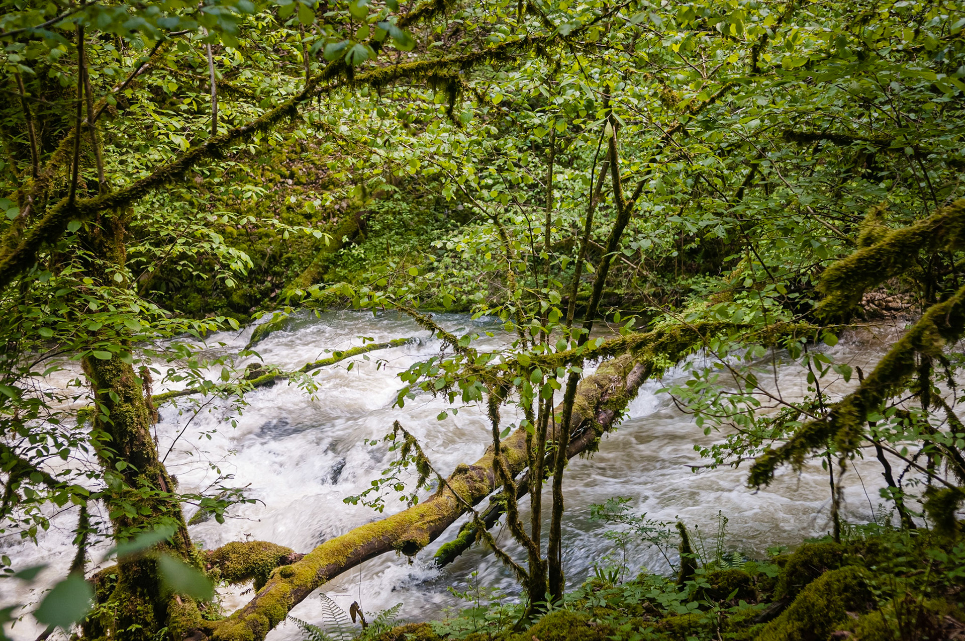 Grotte Sarrazine, Source du Lison, France