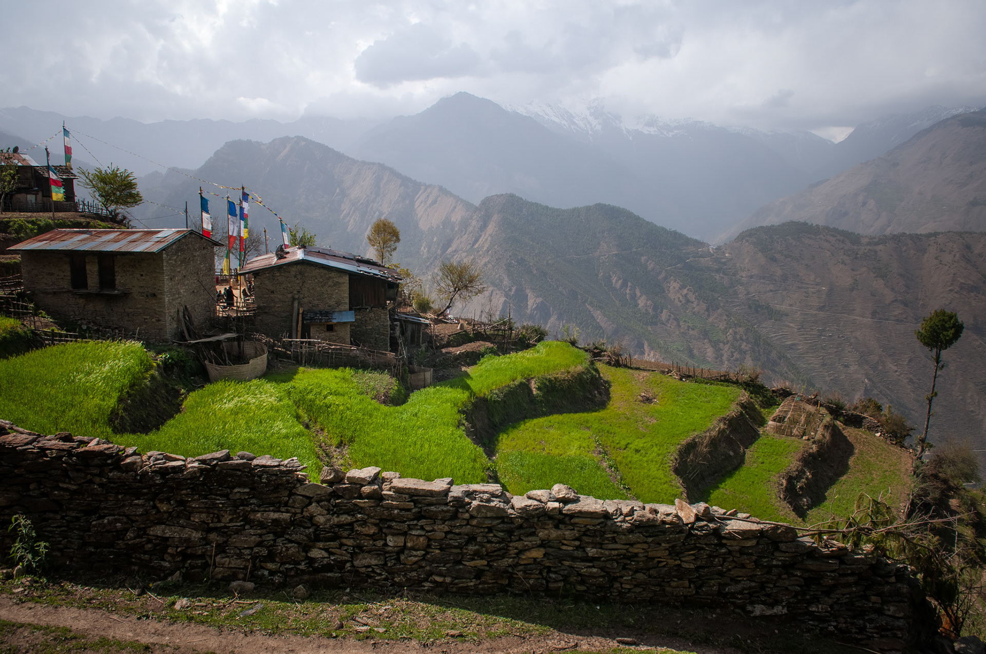 Entre Dhunche (1960m) et Thulo Syabru (2210m)