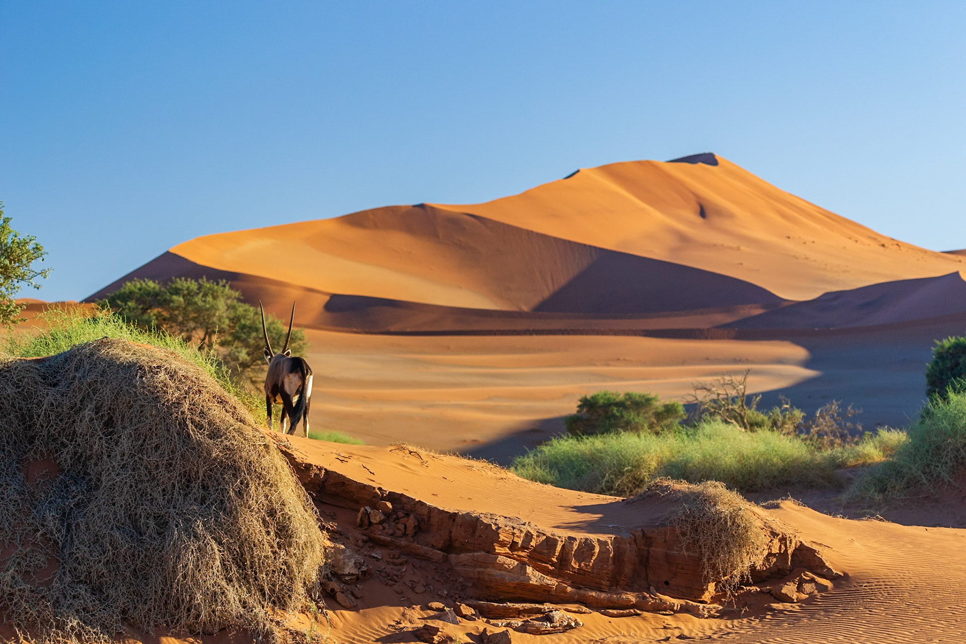 Big Mamma Dune, Sossusvlei