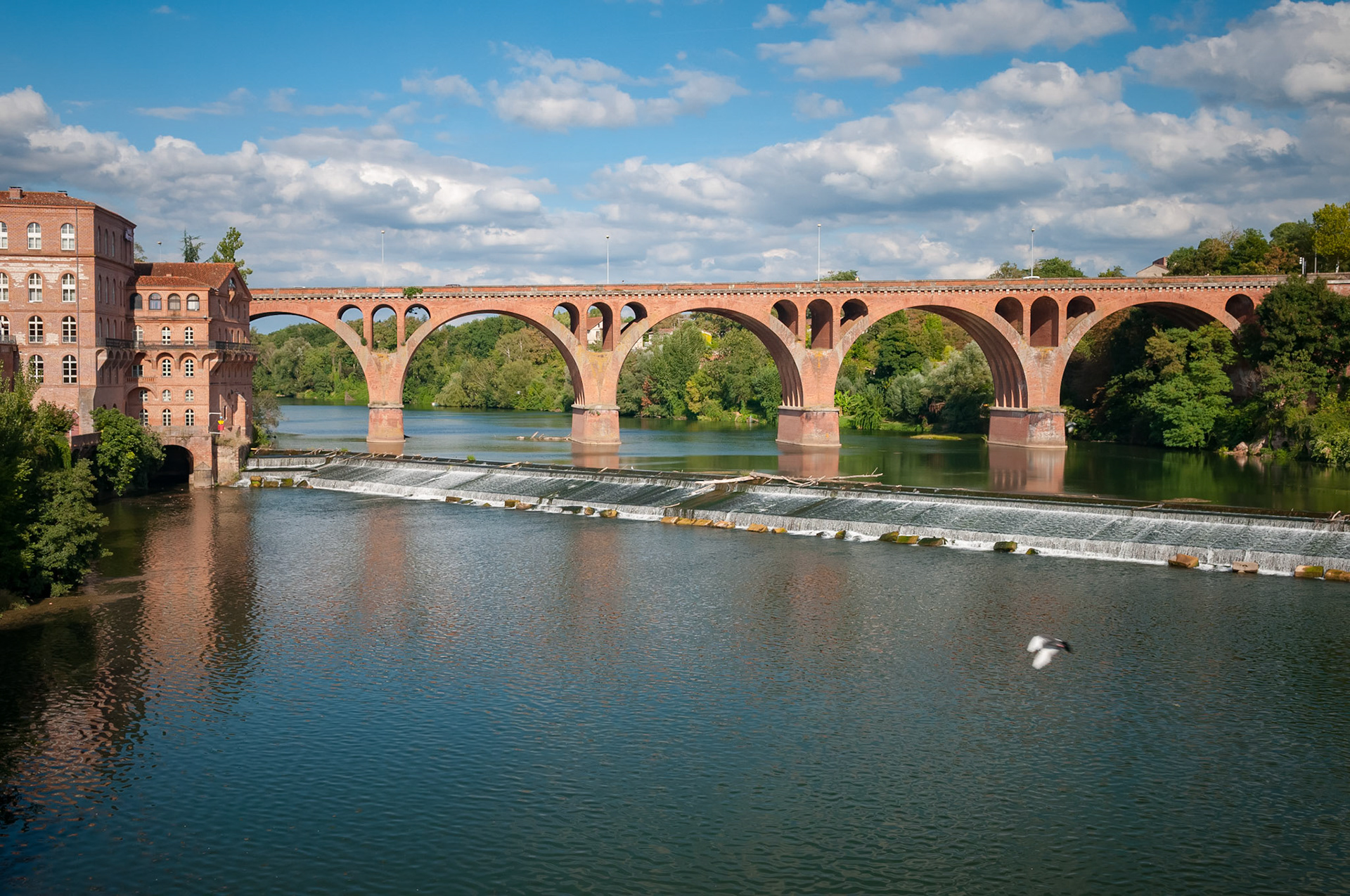 Albi, Tarn