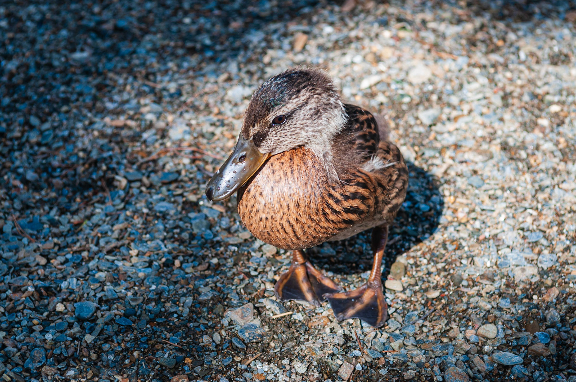 Glendalough, County Wicklow