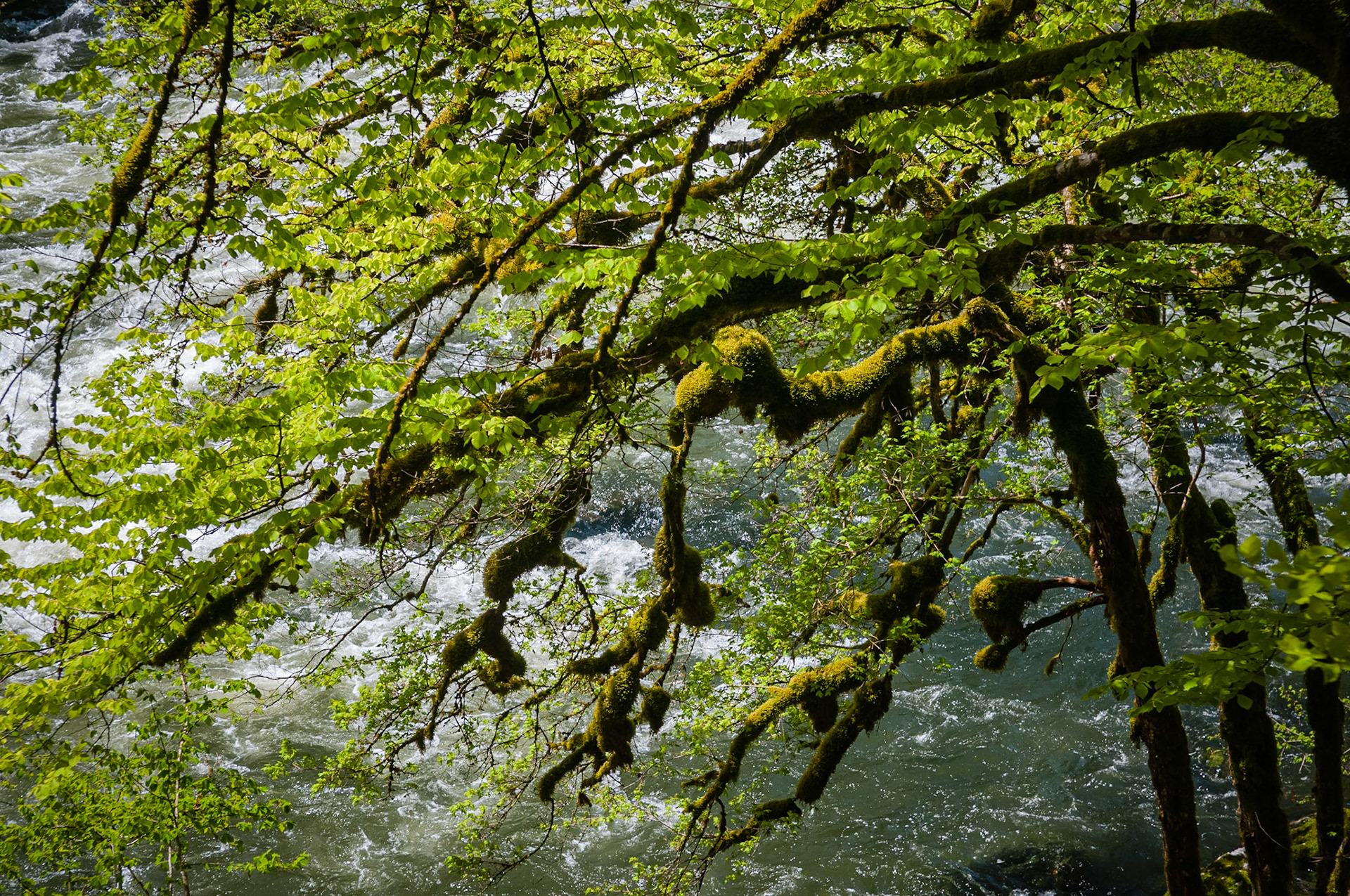 Saut du Doubs, France