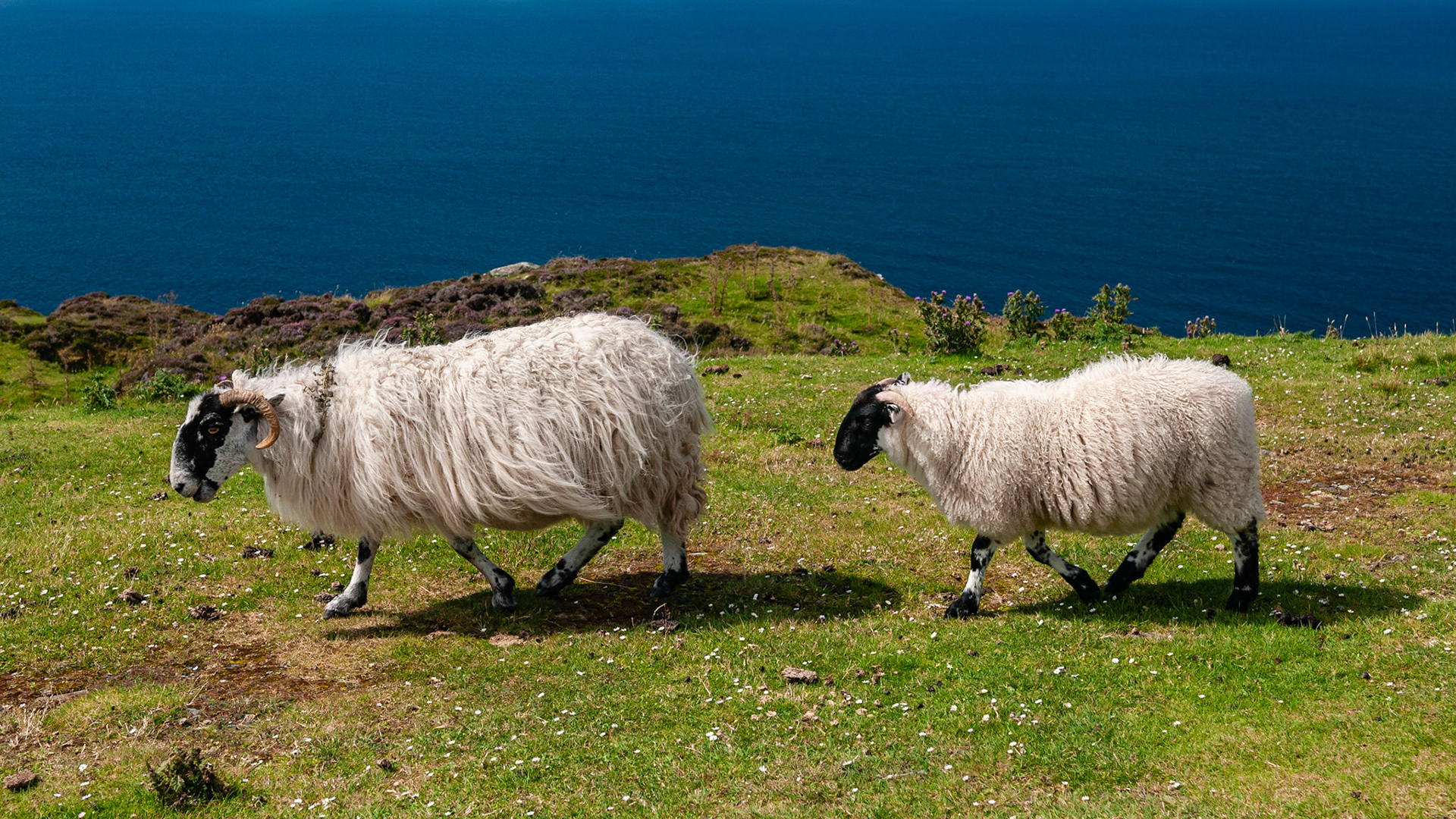 Slieve League, County Donegal