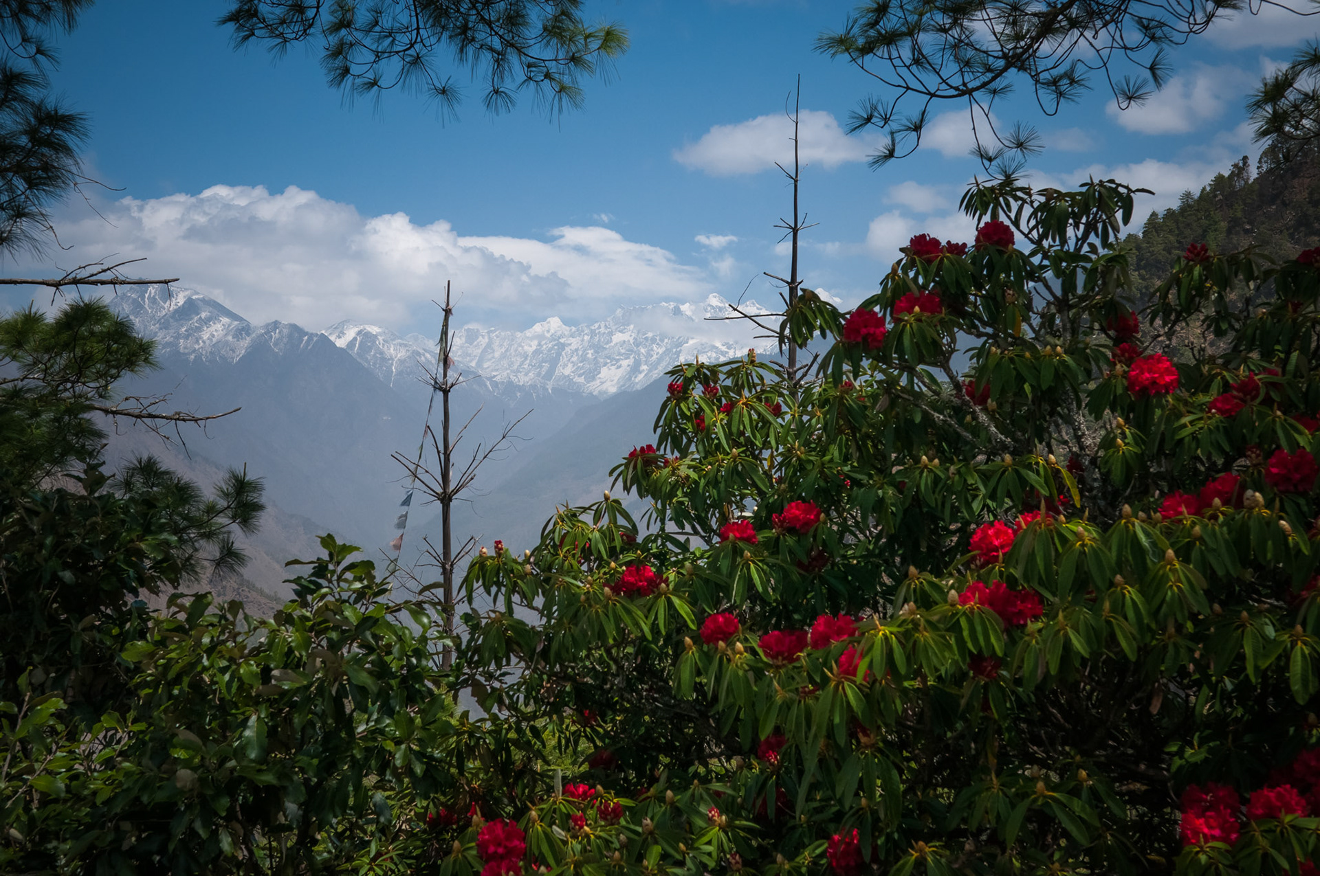 Entre Dhunche (1960m) et Thulo Syabru (2210m)