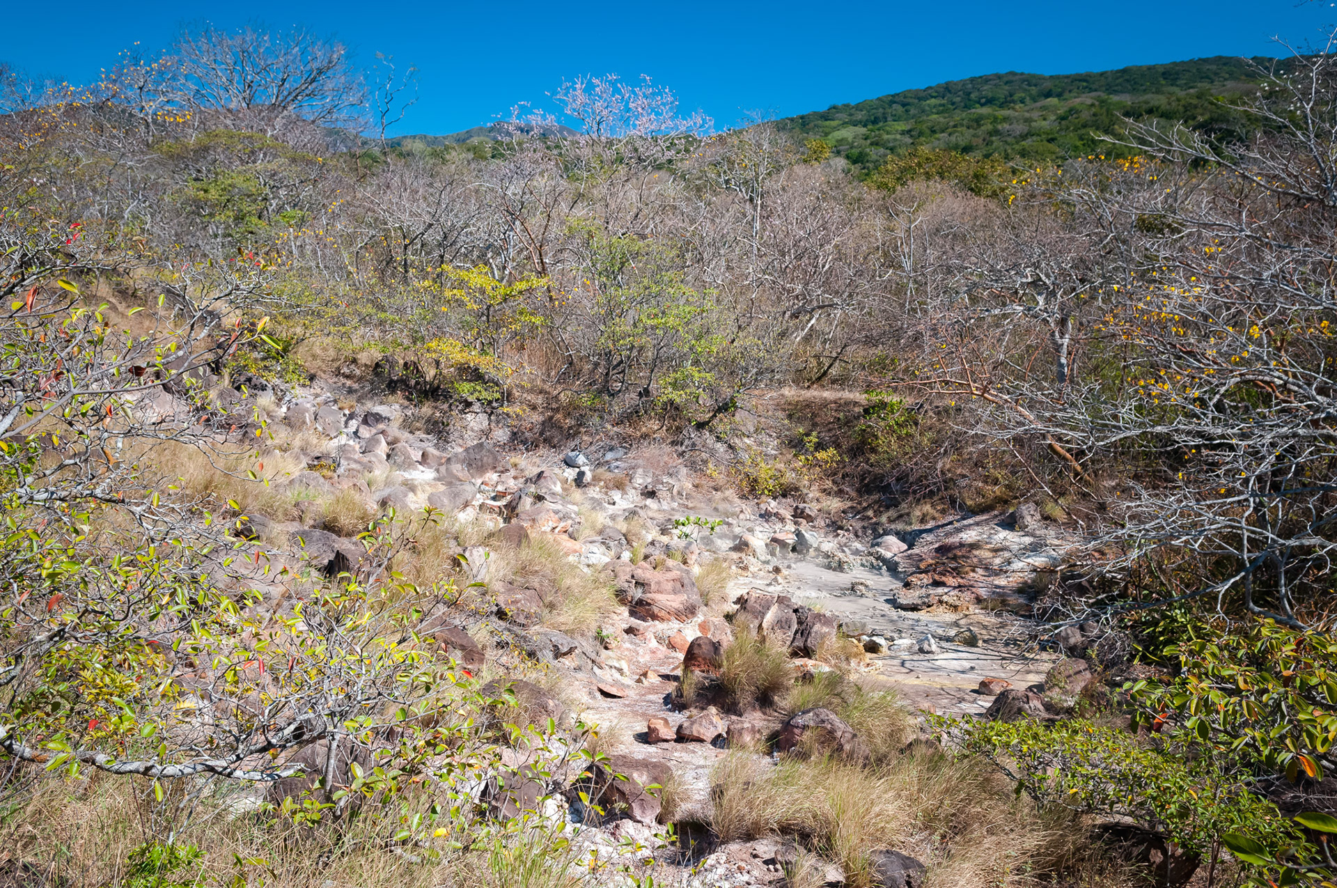 Parque National Rincon de la Vieja