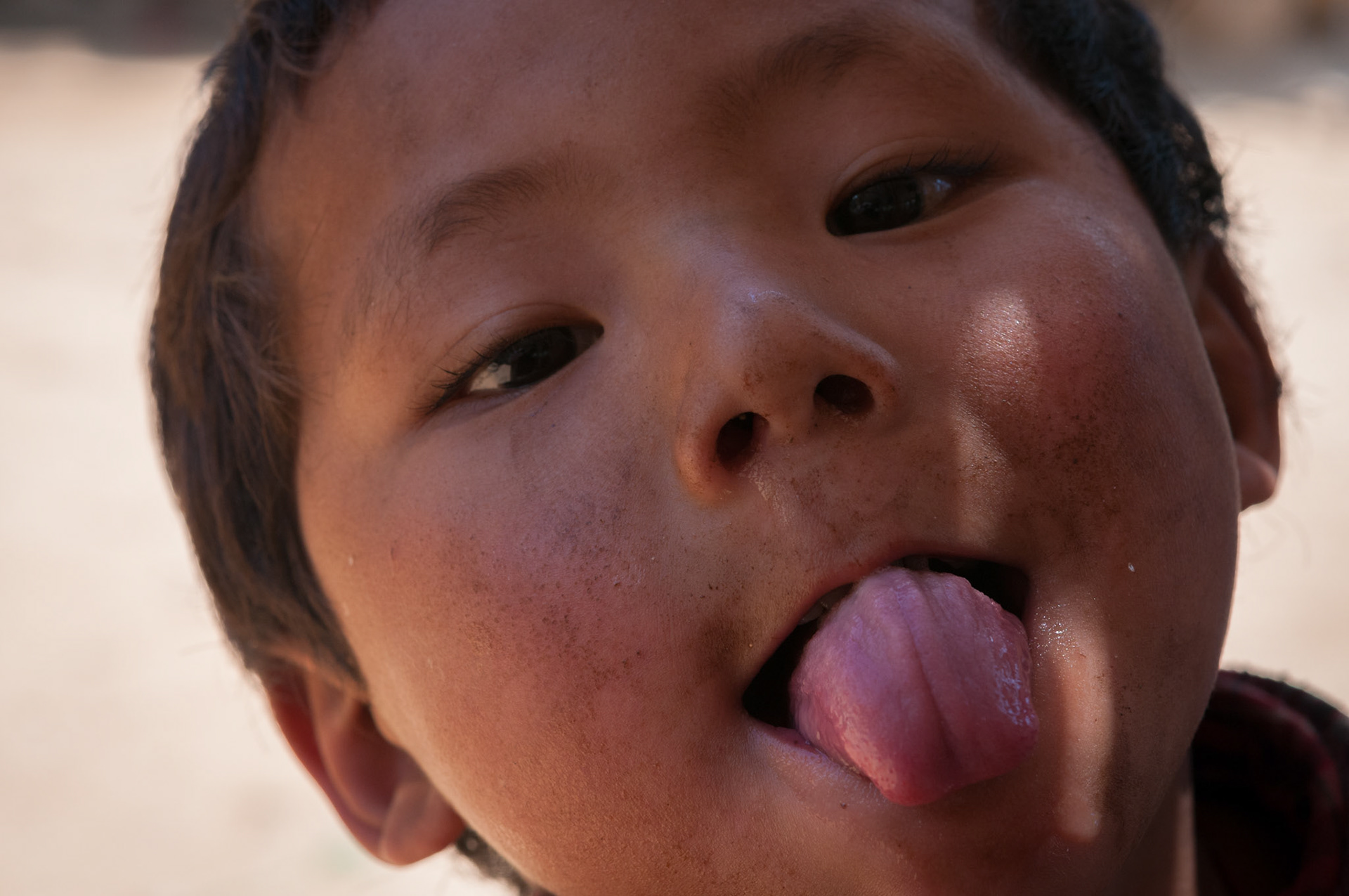 Entre Lama Hotel (2410m) et Thulo Syabru (2210m)