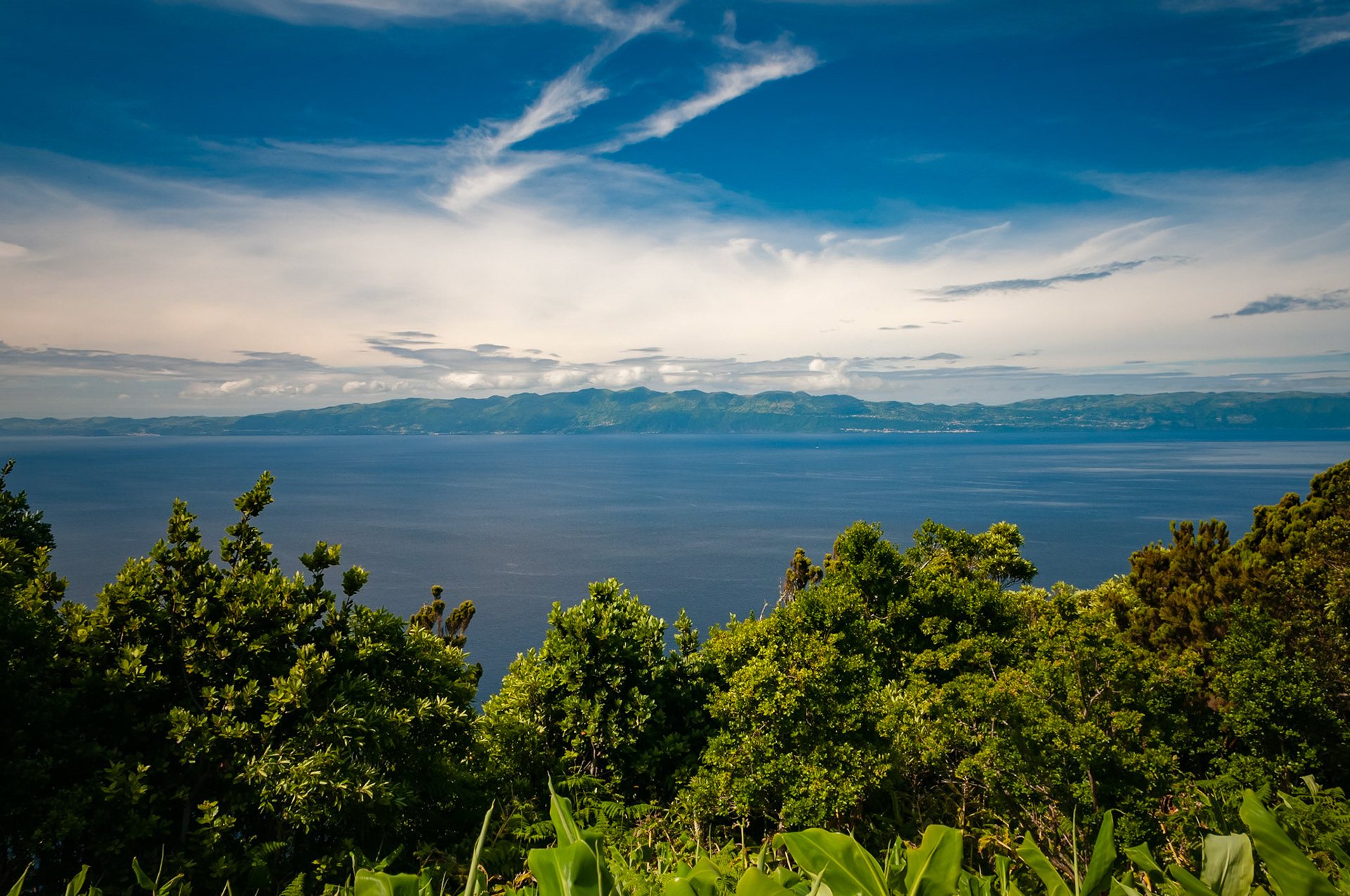 Miradouro da Terr' Alta, Pico