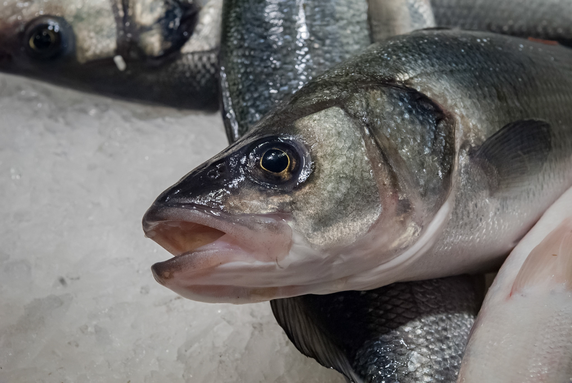 Mercat de la Boqueria, Barcelona