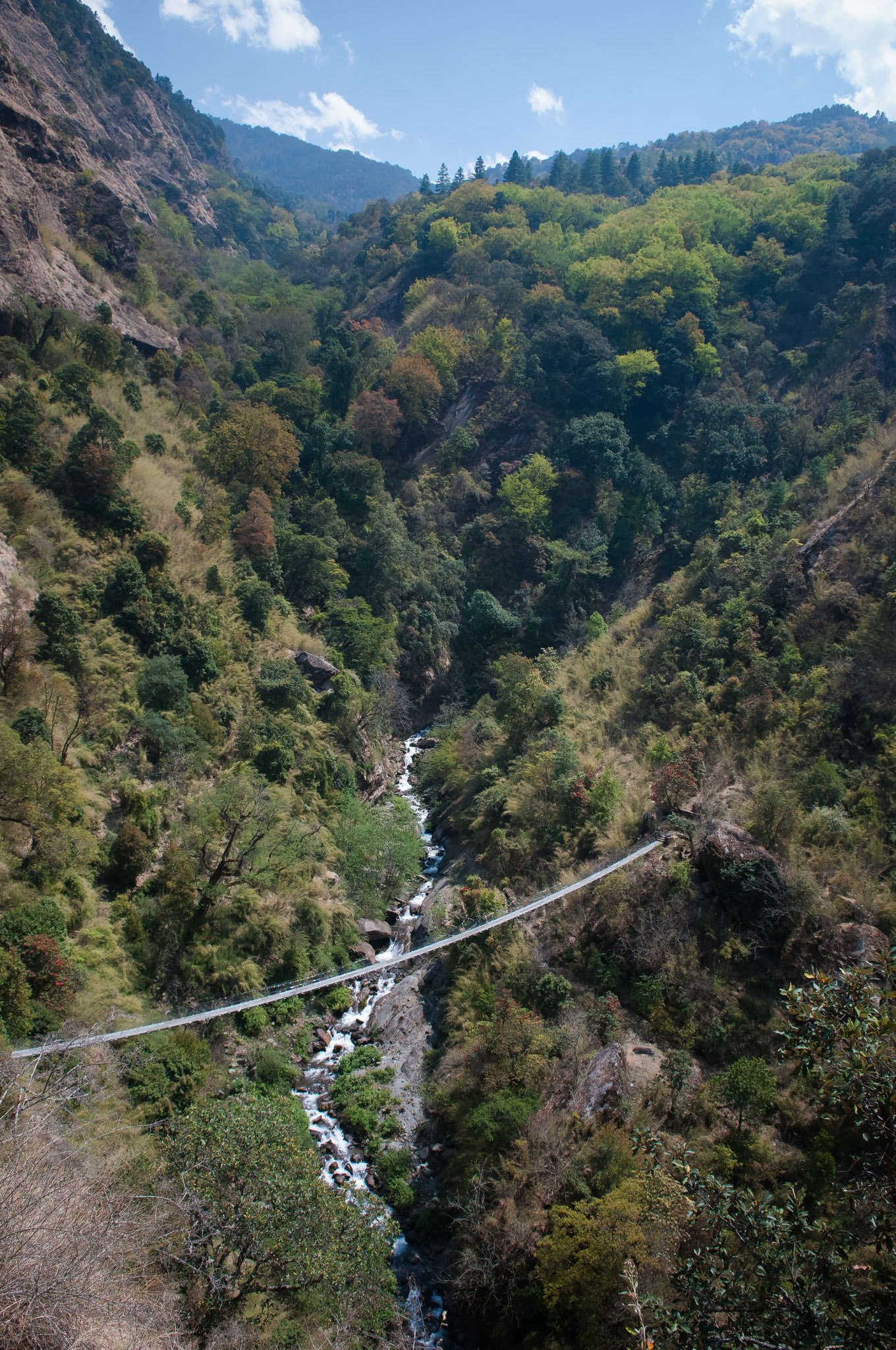 Entre Lama Hotel (2410m) et Thulo Syabru (2210m)