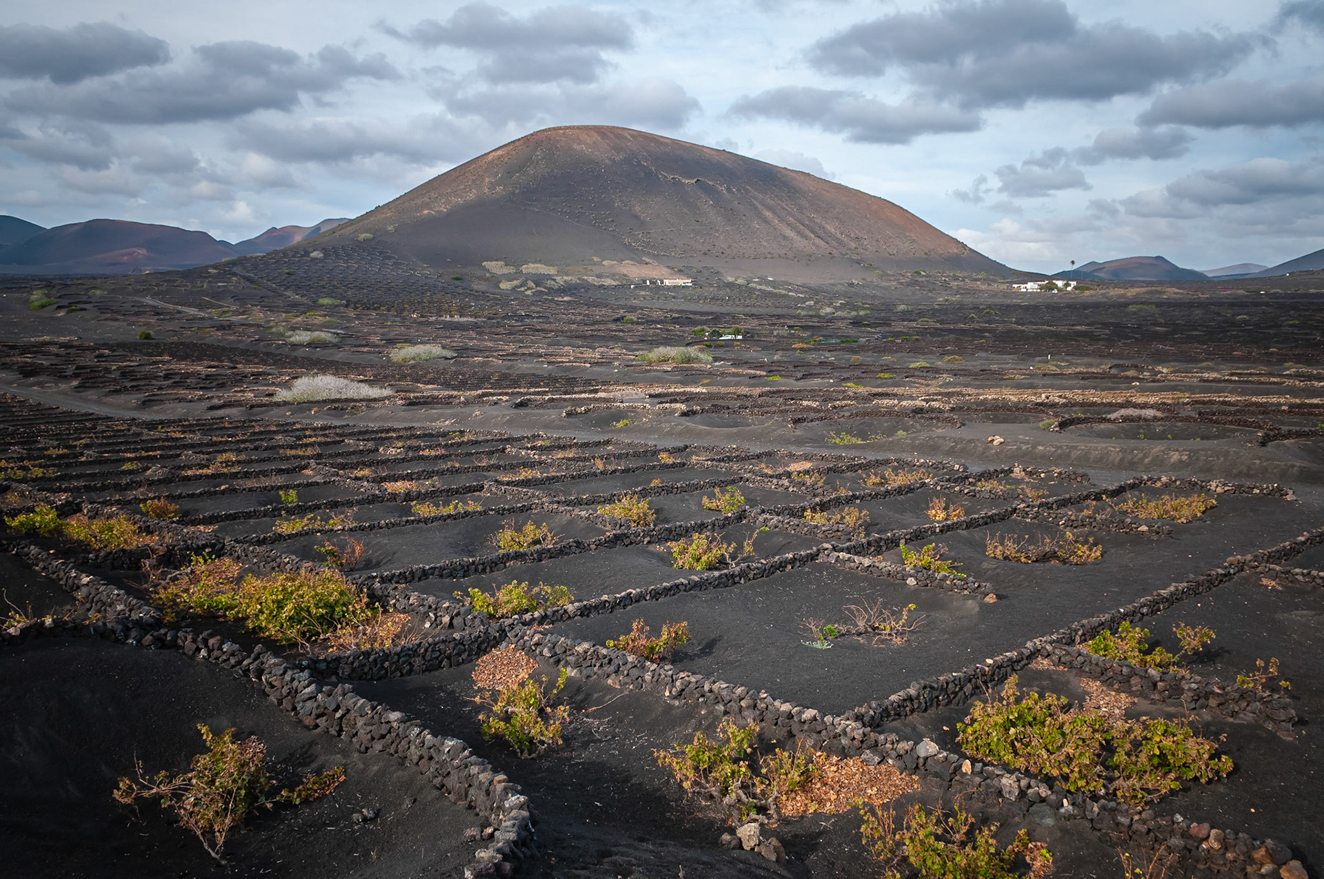 La Geria, Lanzarote