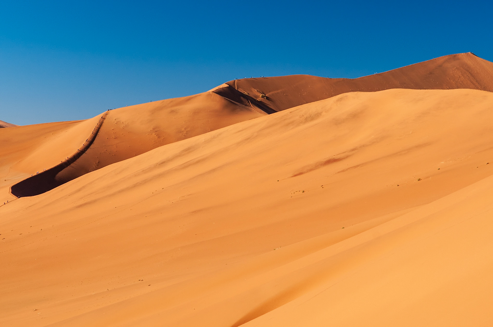 Dead Vlei, Sossusvlei