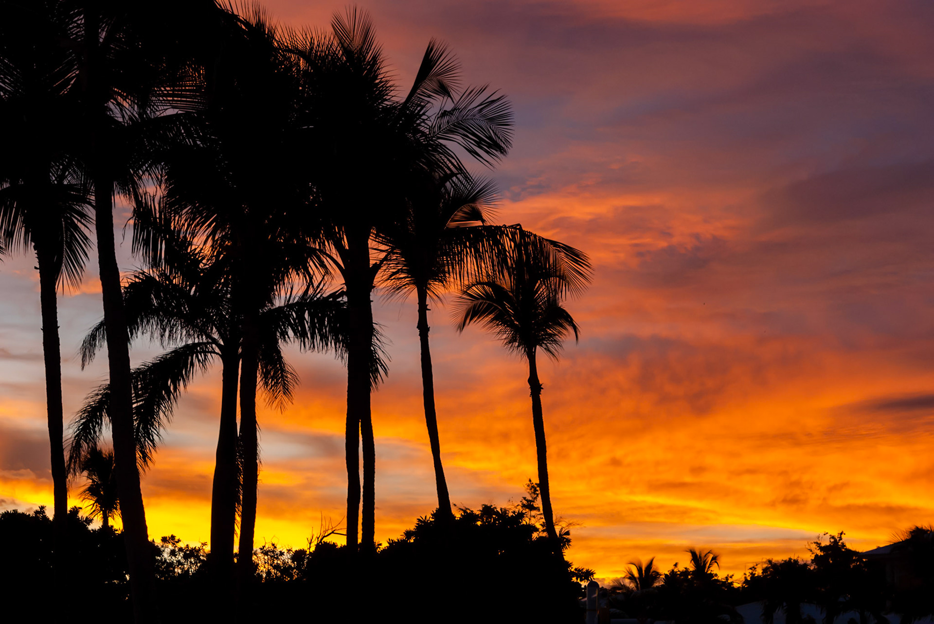 Club Med Punta Cana, République Dominicaine