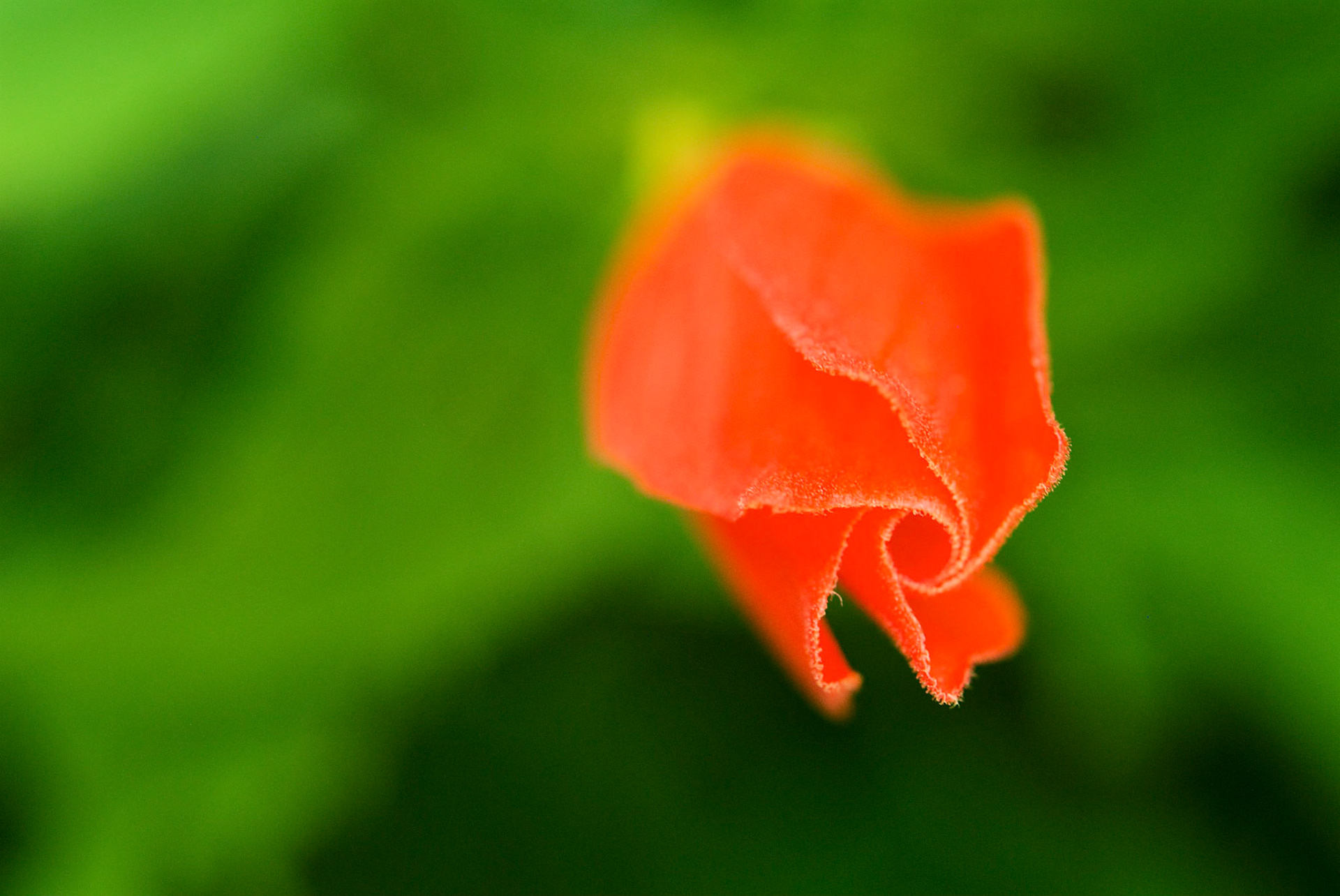 Jardim Botânico, Rio de Janeiro
