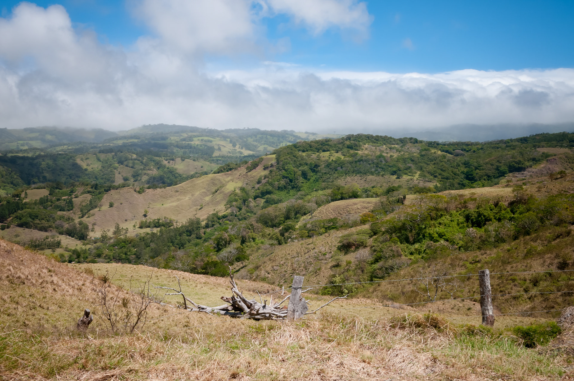 Route 145 vers Santa Elena