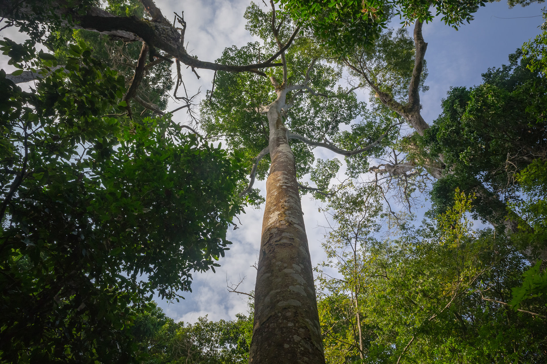 Parque Nacional Manuel Antonio