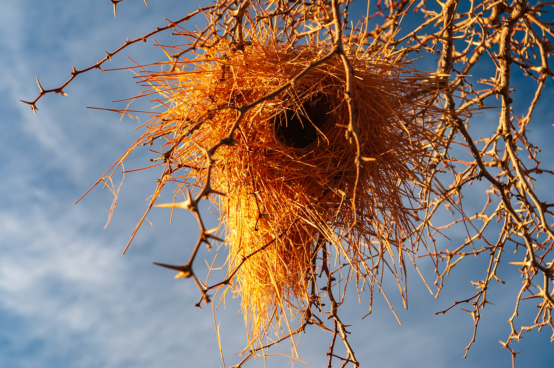 Canyon Roadhouse Campsite, Fish River Canyon