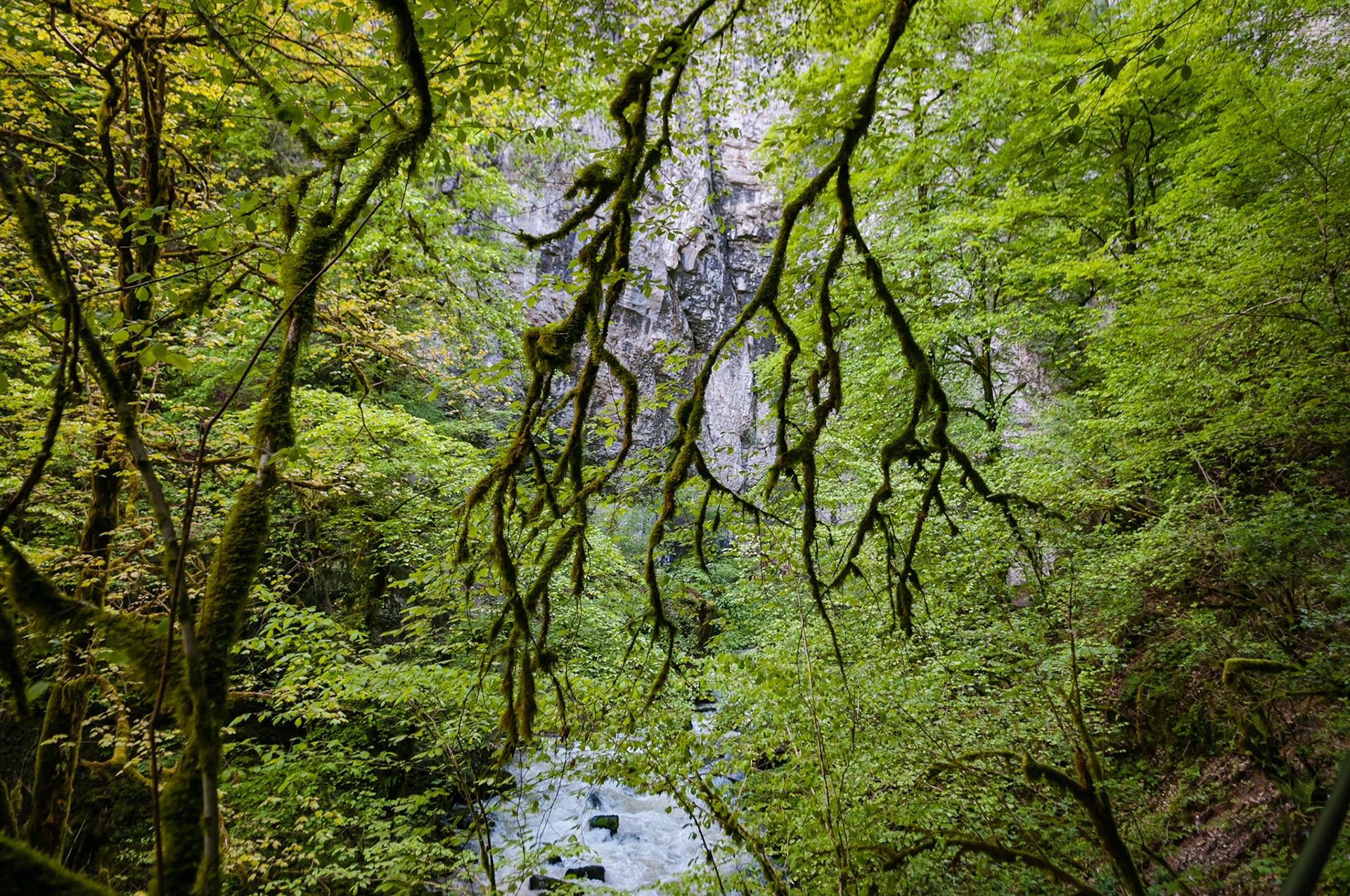 Grotte Sarrazine, Source du Lison, France