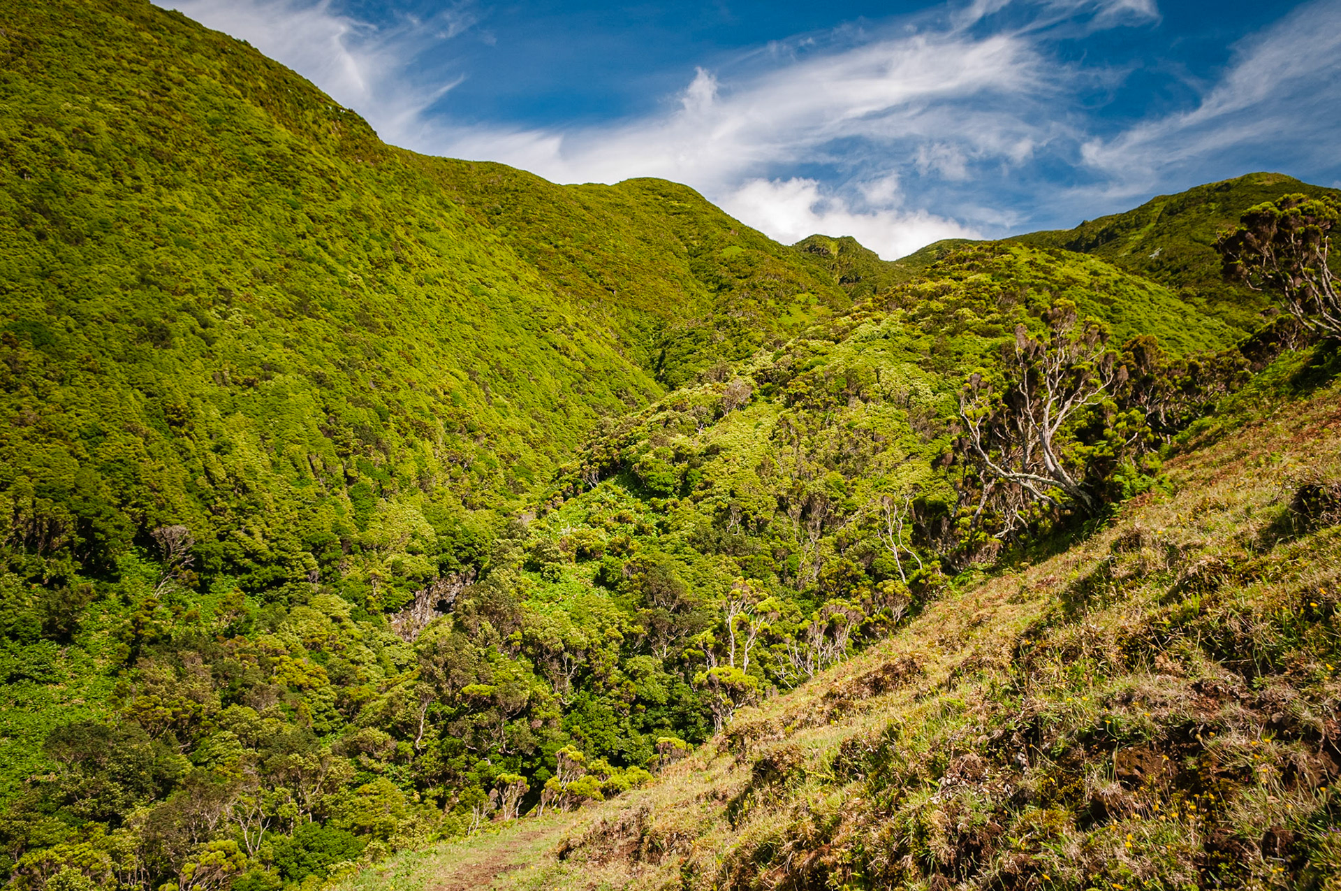 Trail Serra do Topo - Caldeira do Santo Cristo – Fajã dos Cubres, São Jorge