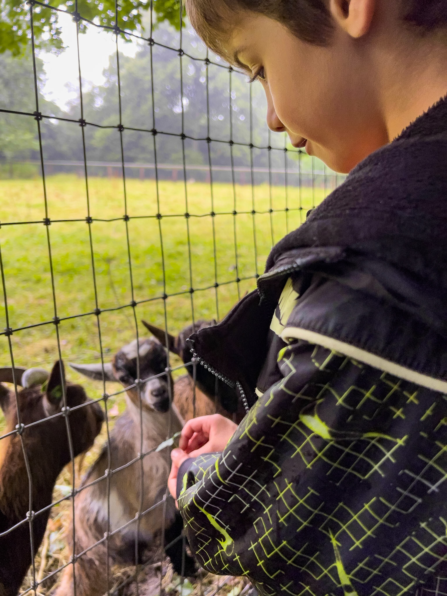 Bunratty Castle, County Clare