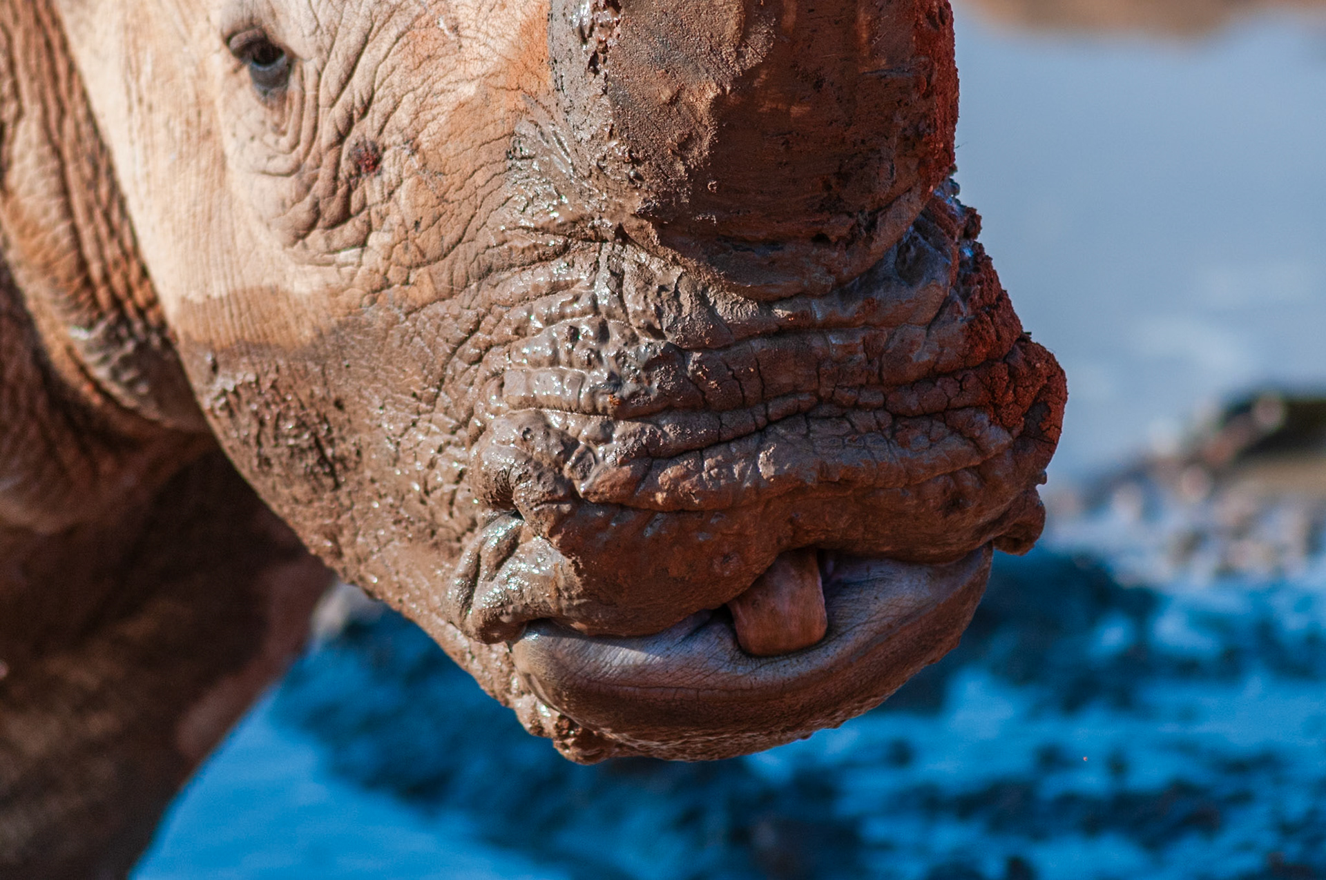 Bagatelle Kalahari Game Ranch, Mariental