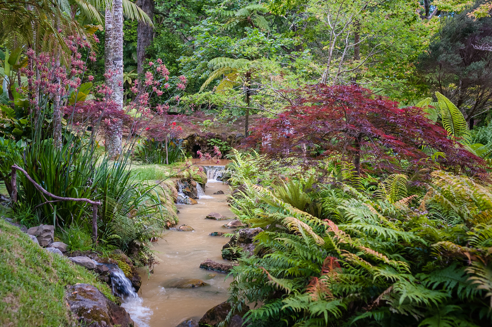 Parc Terra Nostra, Furnas, São Miguel