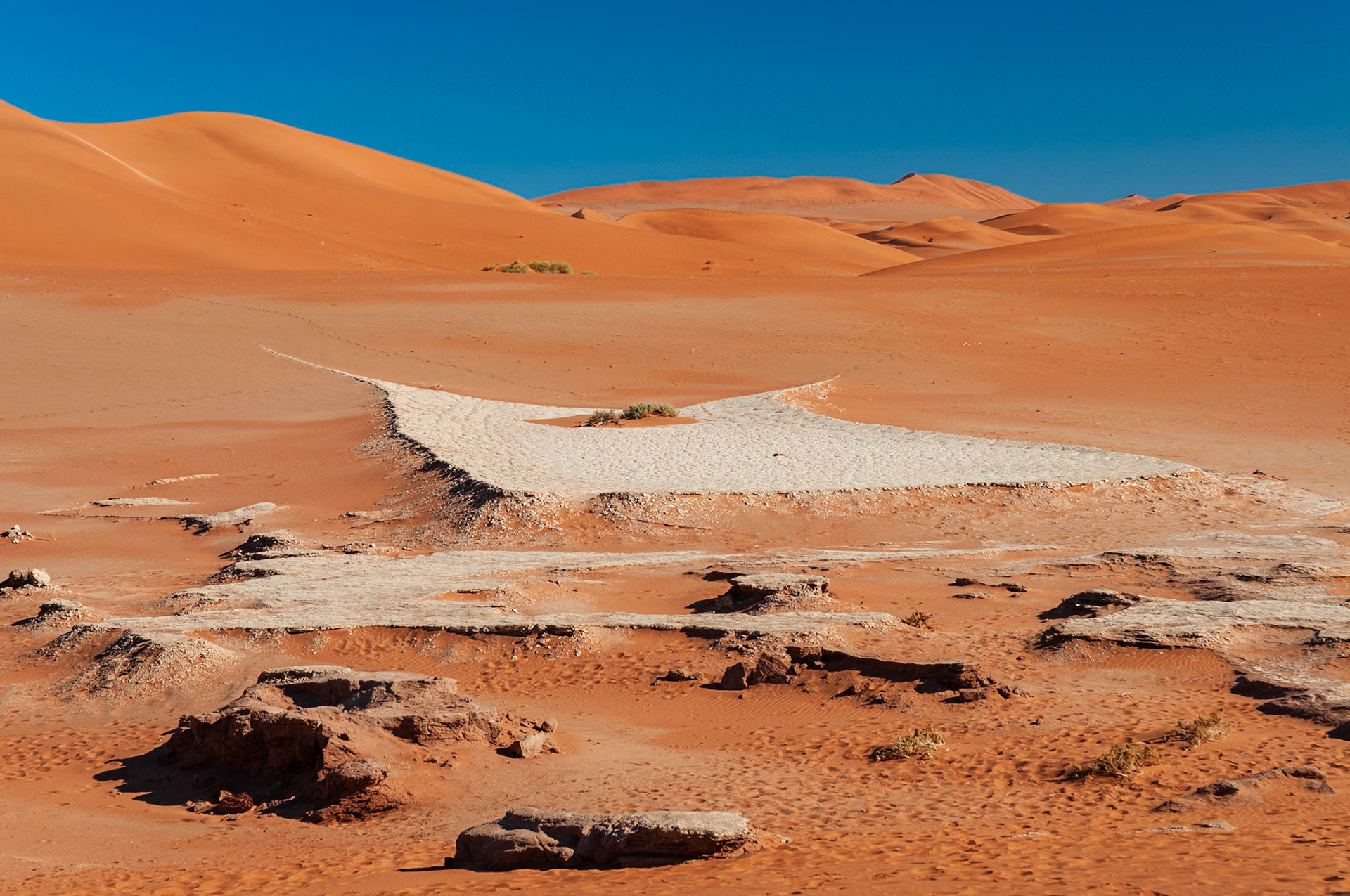 Dead Vlei, Sossusvlei