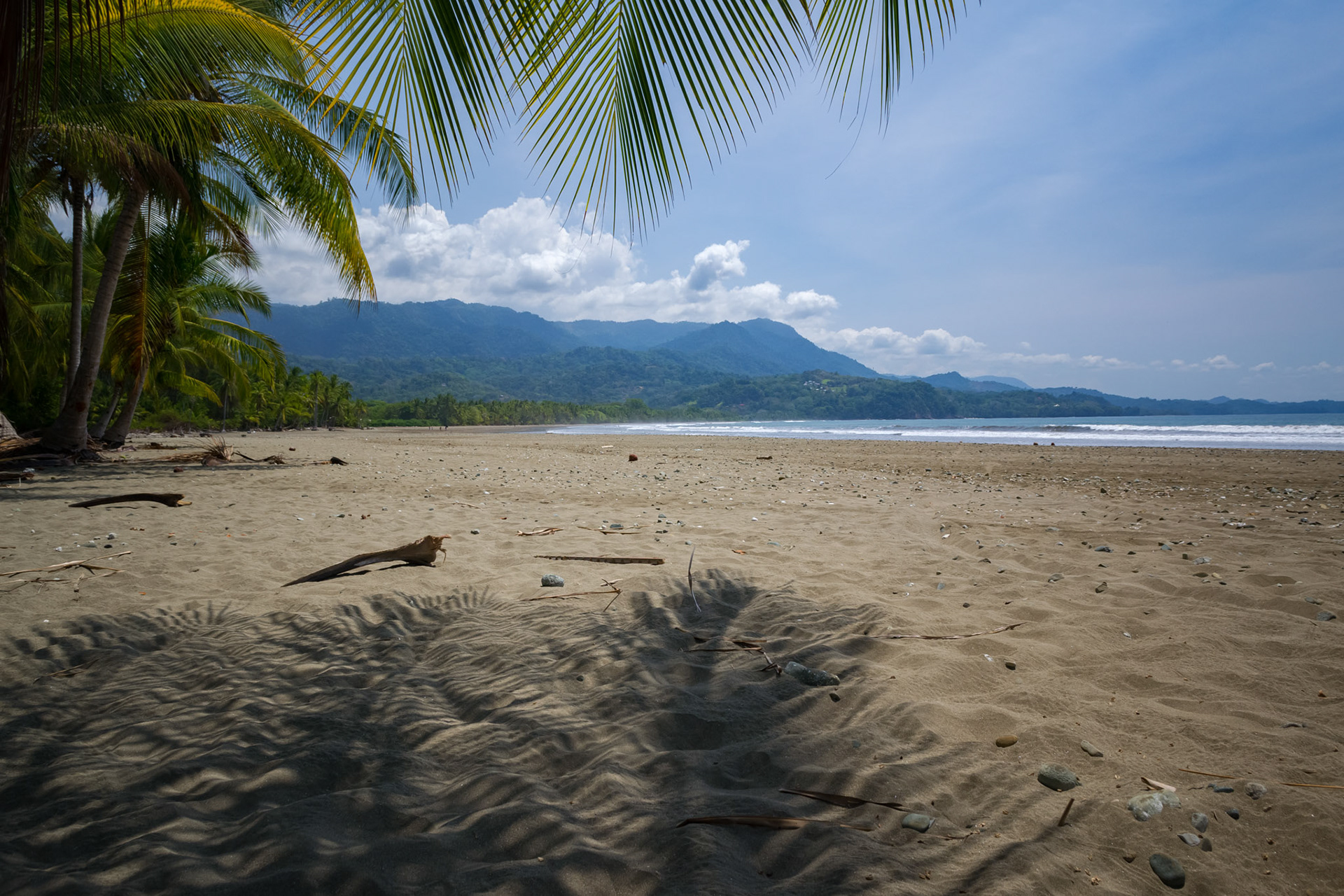 Parque National Marino Ballena