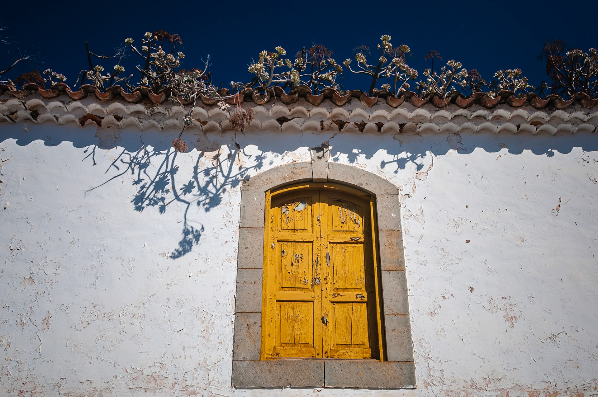 Vega de San Mateo, Gran Canaria