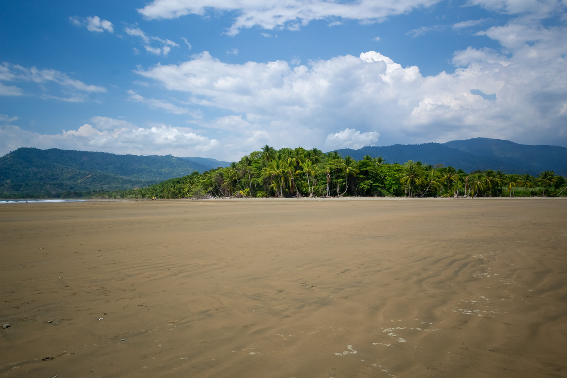Parque National Marino Ballena
