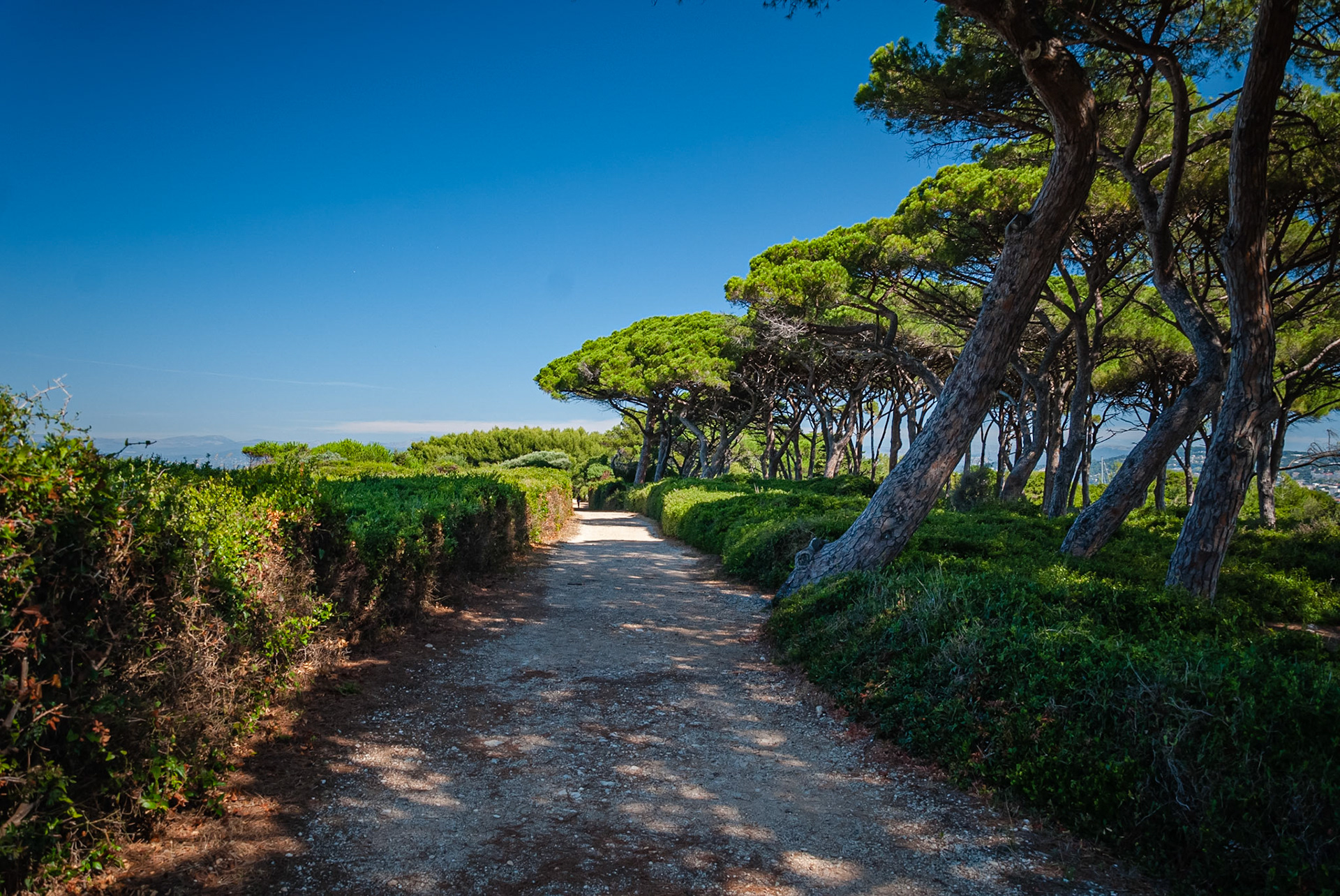 Ile Sainte-Marguerite