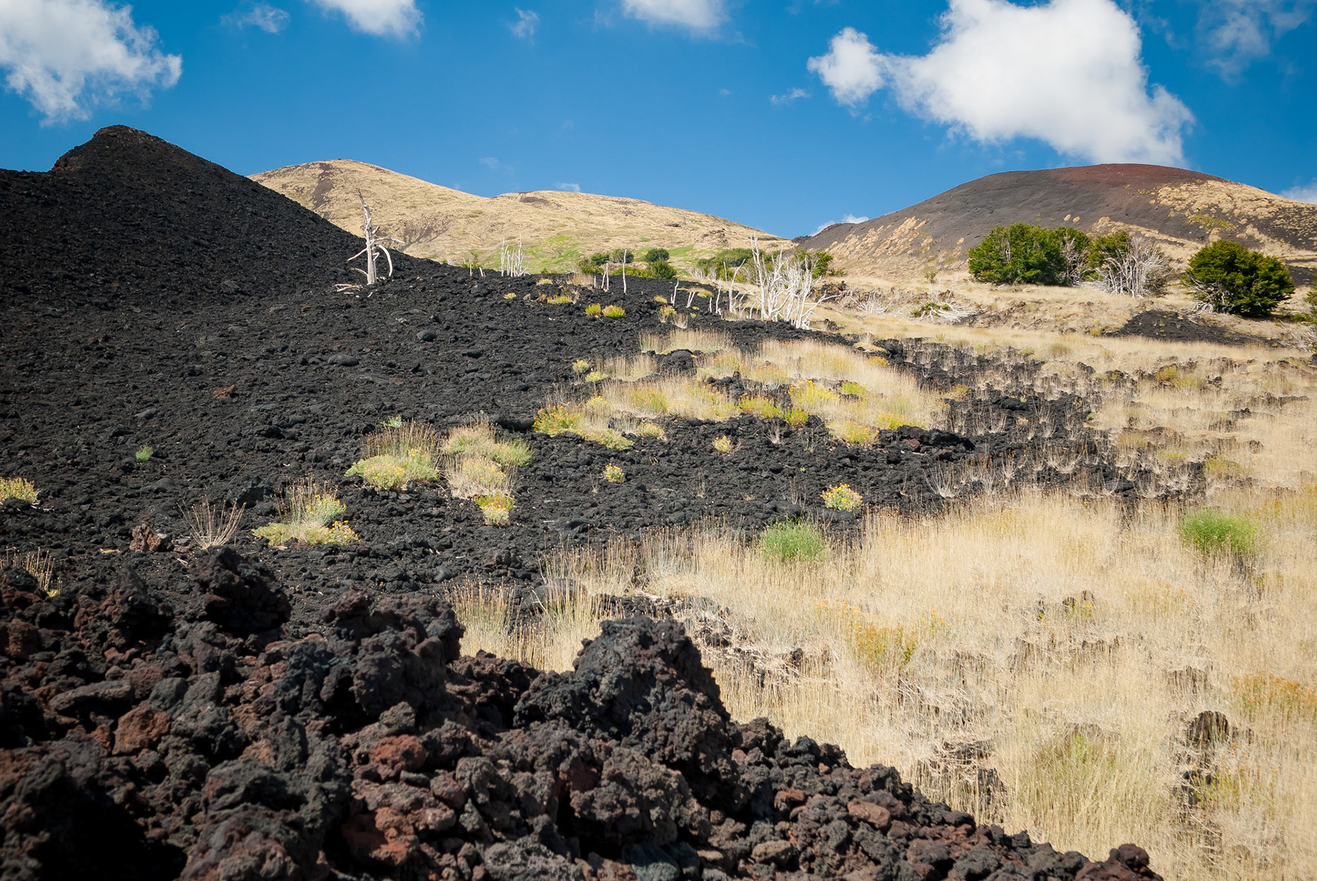 Cratères de 2002, Mont Etna