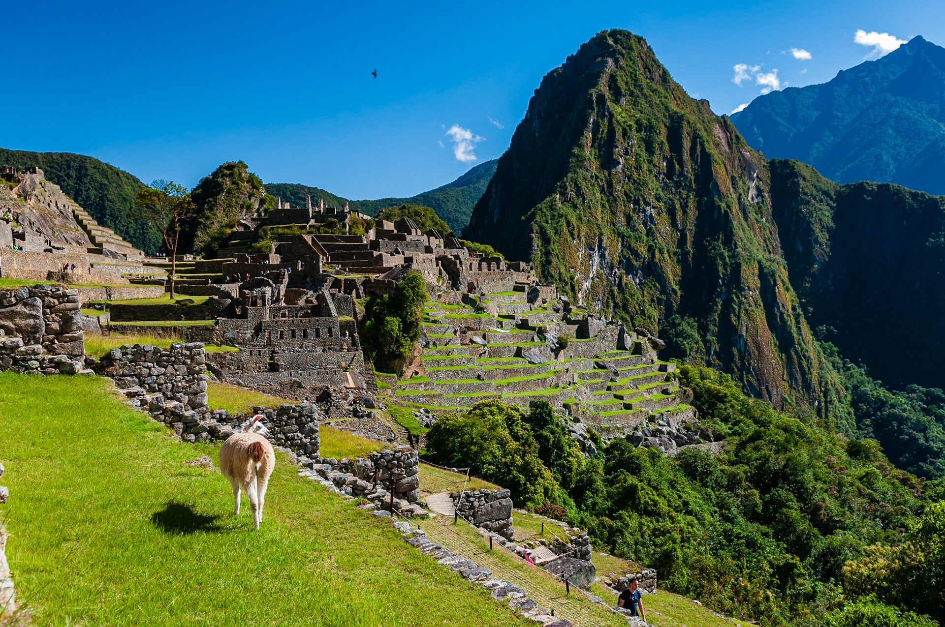 Machu Picchu