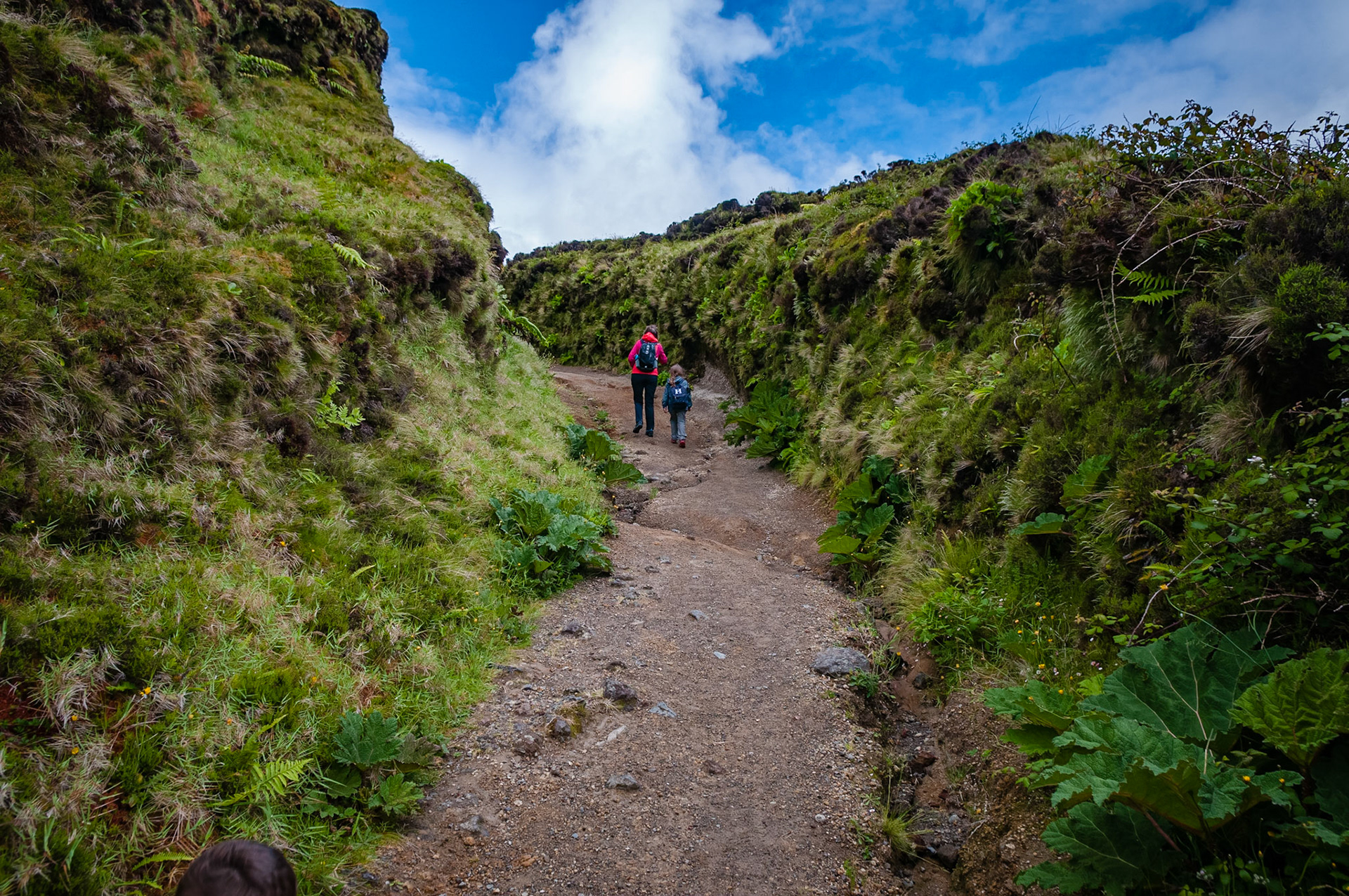 Trail Serra Devassa, São Miguel