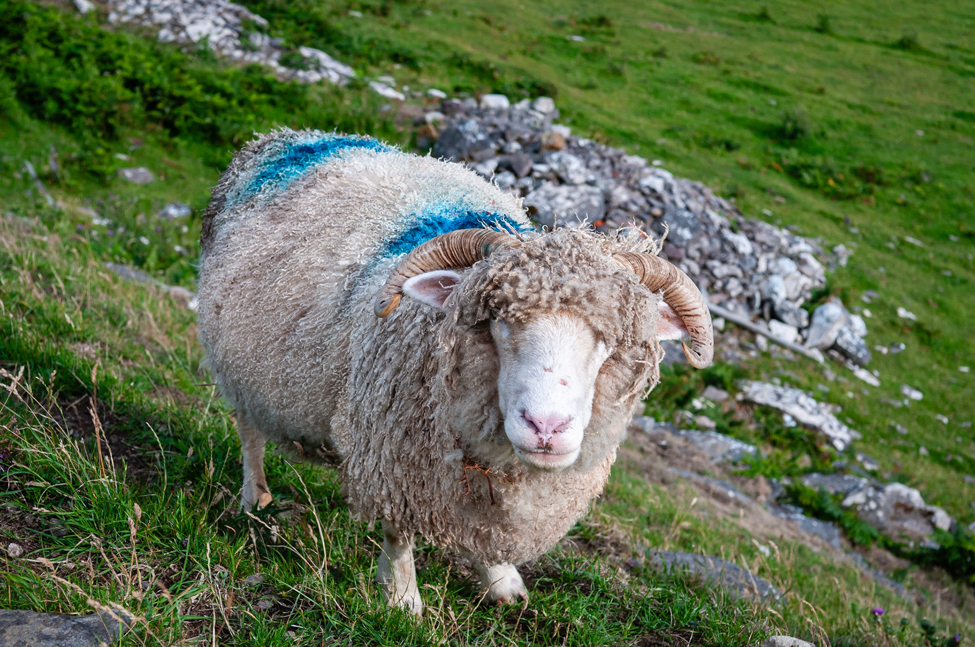 Slea Head Road, County Kerry