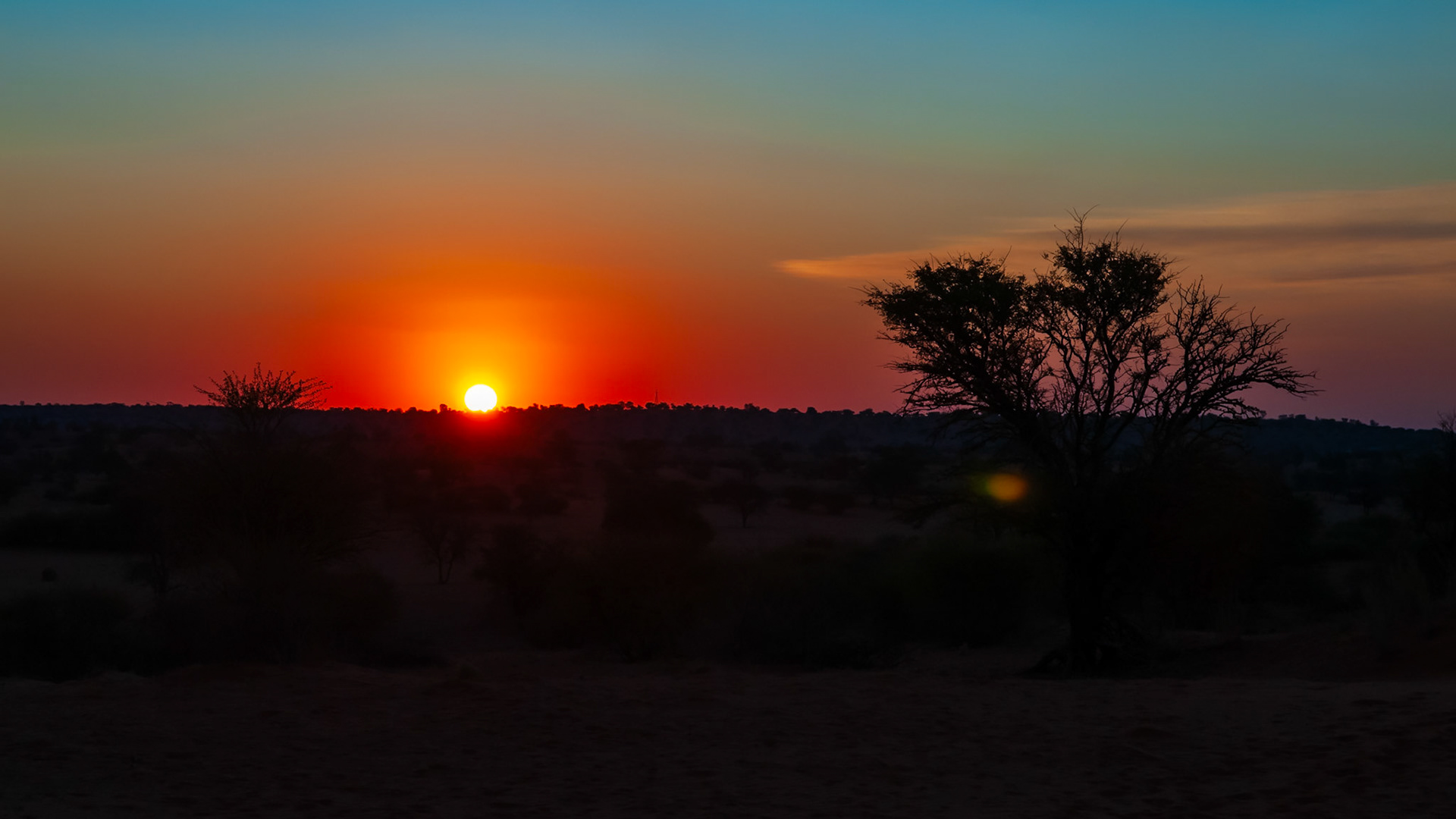 Bagatelle Kalahari Game Ranch, Mariental